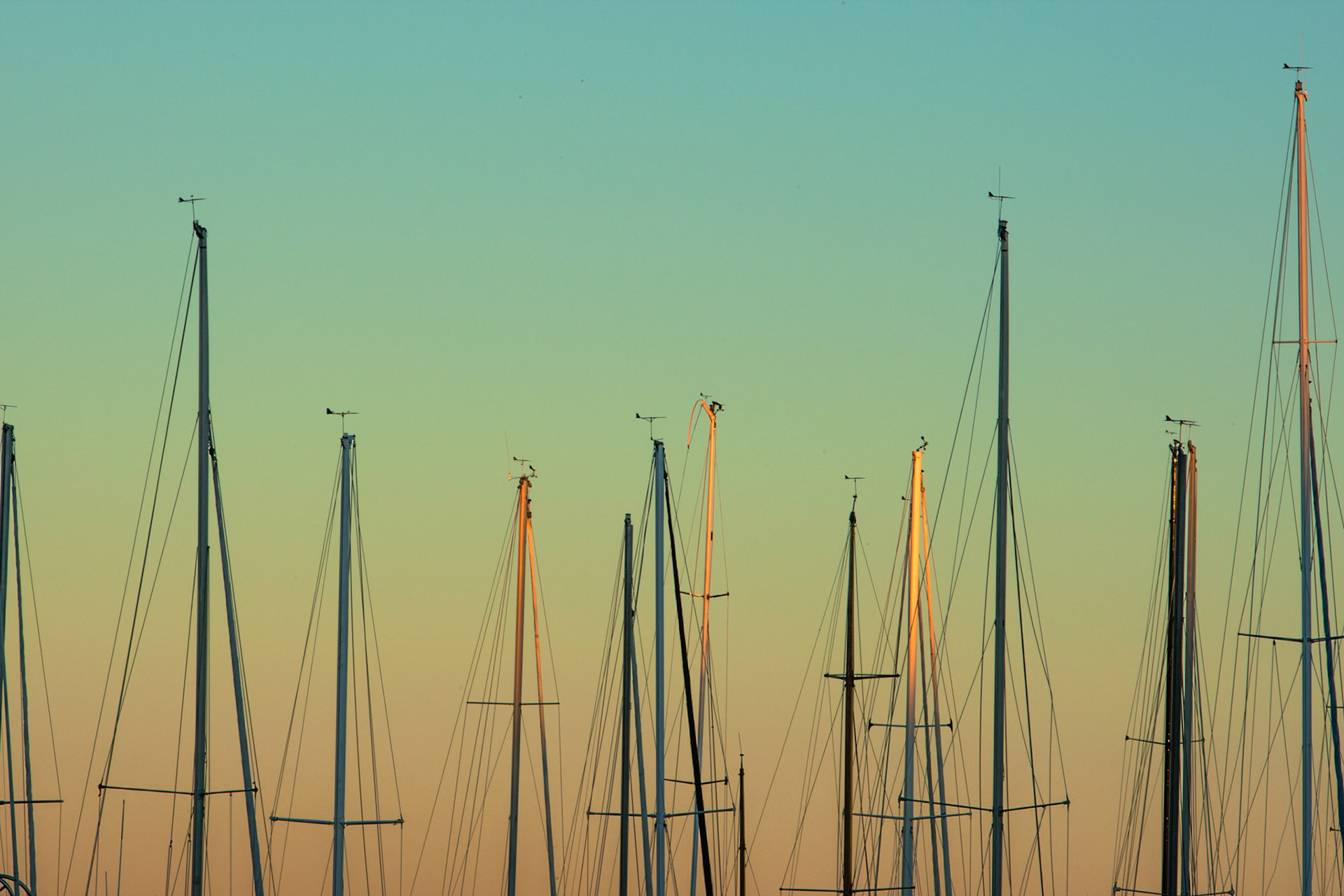 Yacht masts at Belmont, Lake Macquarie.