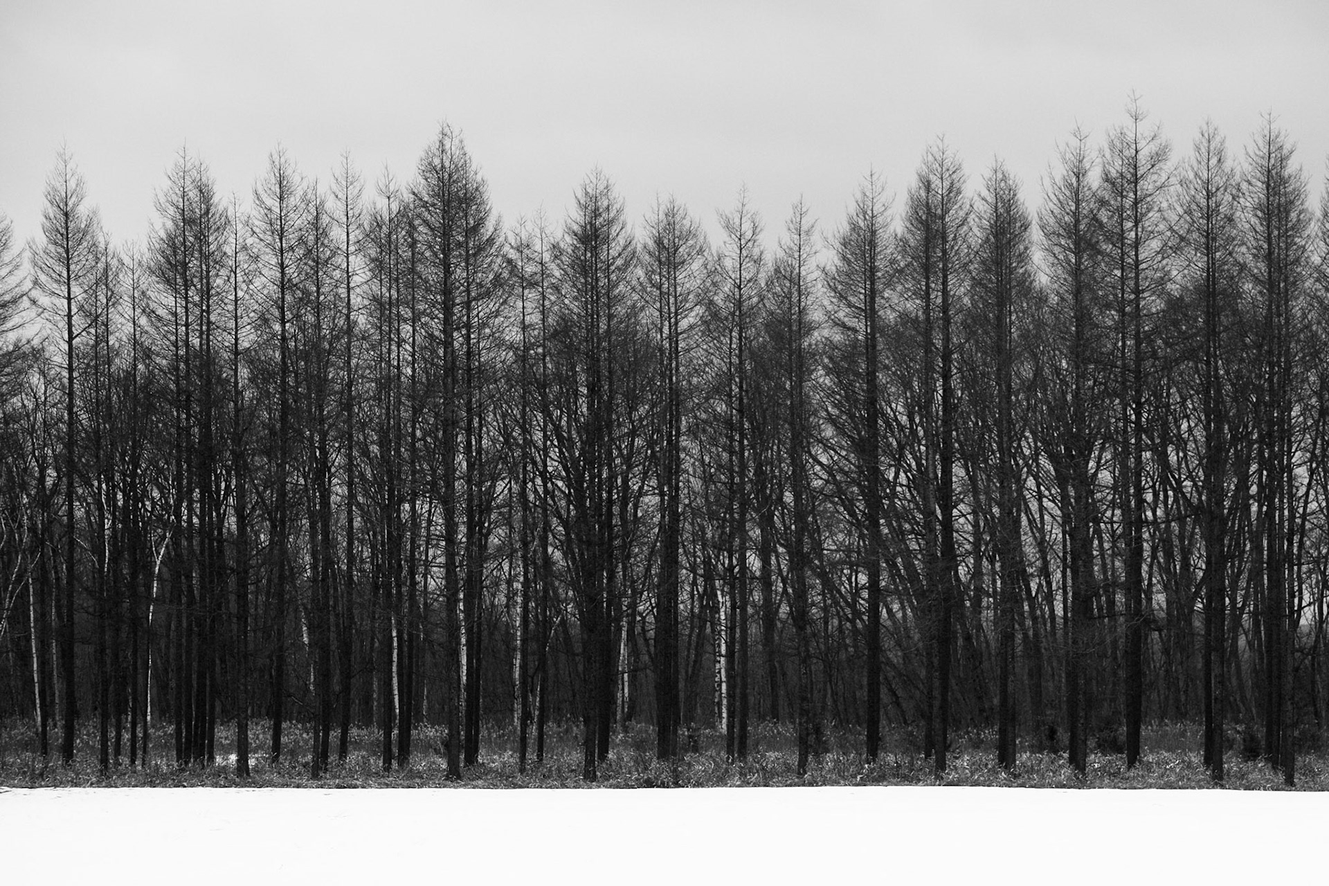 Near Tsuri village, Hokkaido, Japan