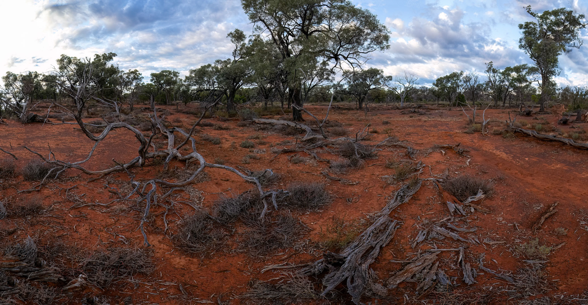 Landscape, Eulo to Cunnamulla, Queensland, Australia