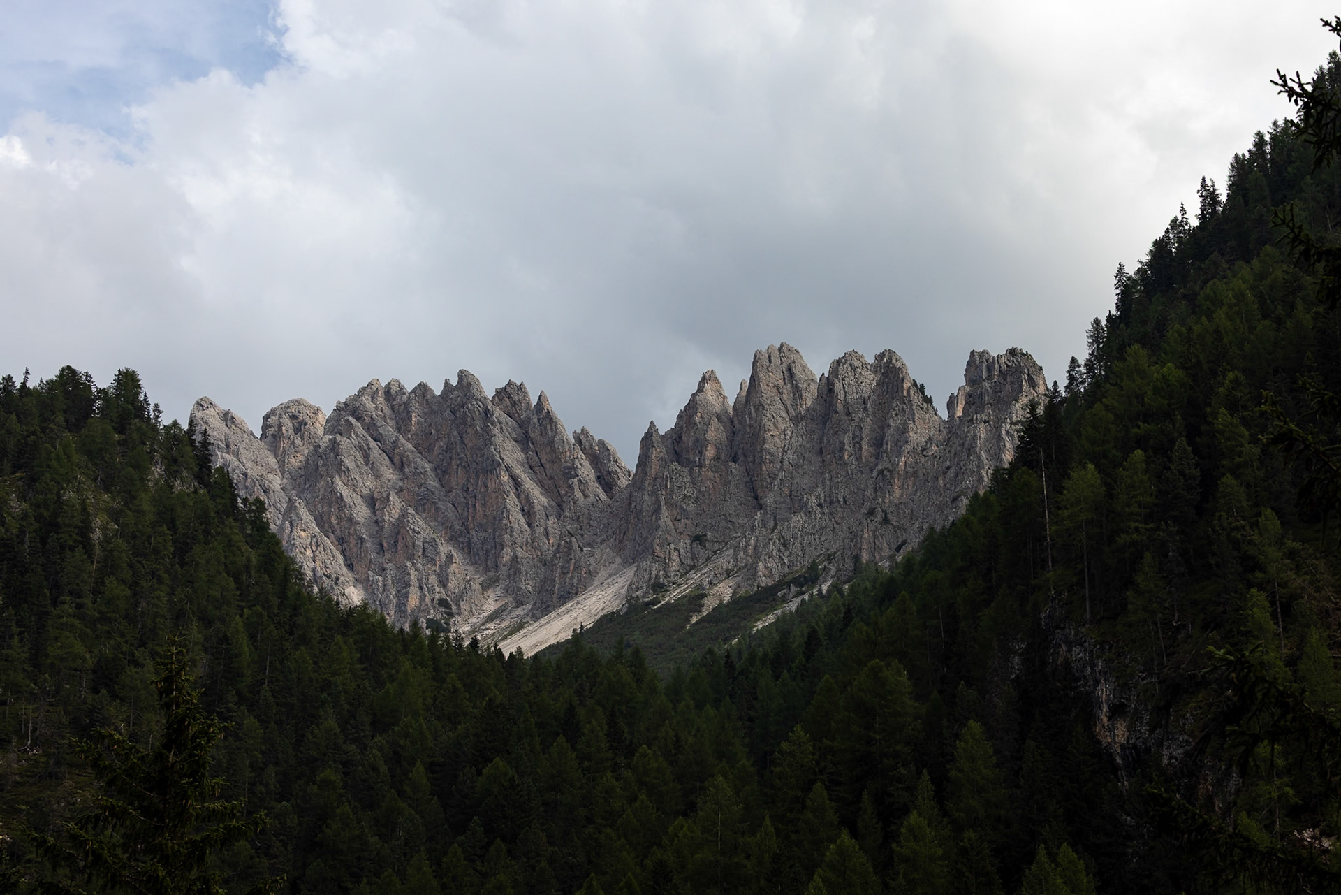 Val Lunga, Selva di Val Gardena, Dolomites, South Tyrol, Italy