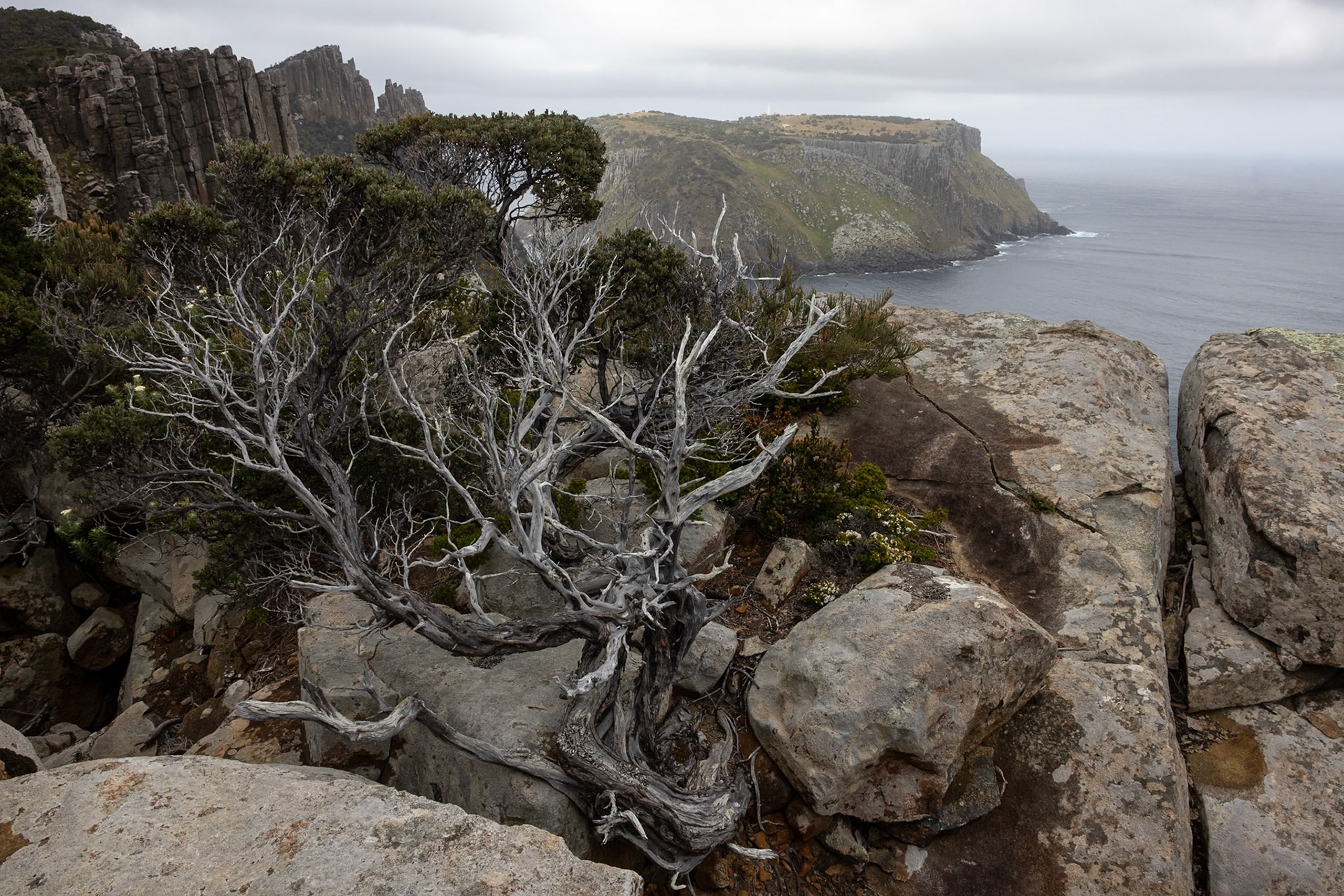 Three Capes Track, Cape Pillar Lodge to Cape Pillar and return, Tasmania