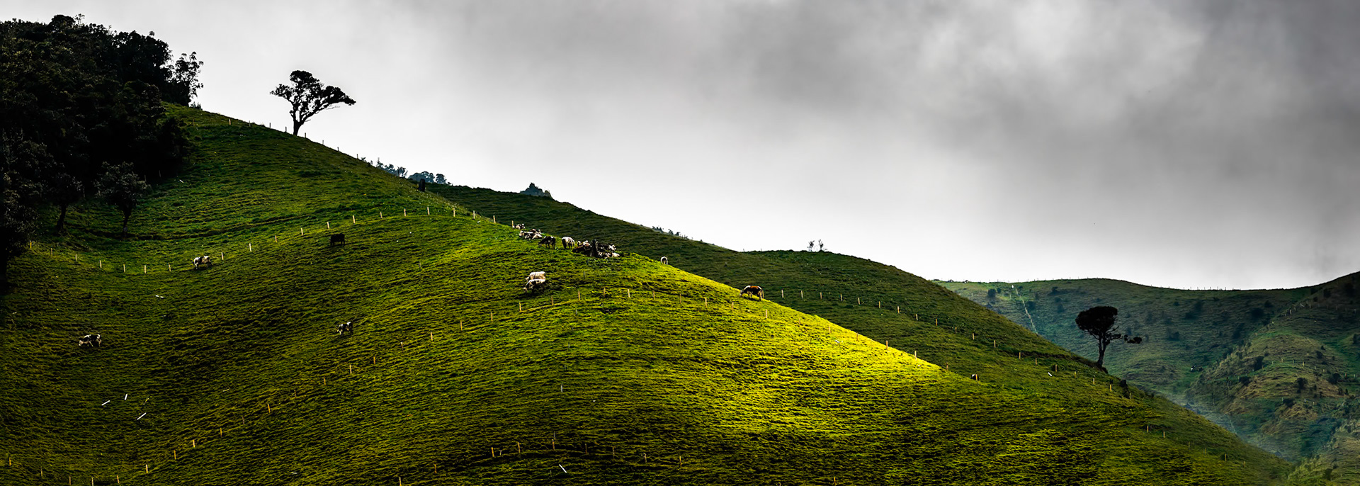 Hacienda el Bosque, Colombia