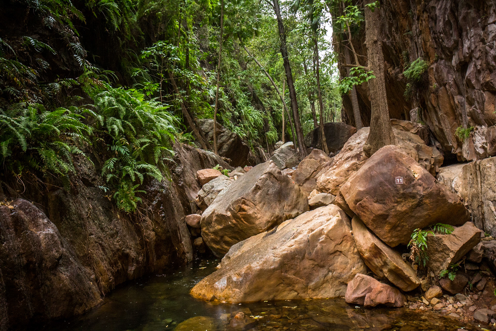 El Questro Gorge, El Questro Wilderness Park, The Kimberly, Western Australia