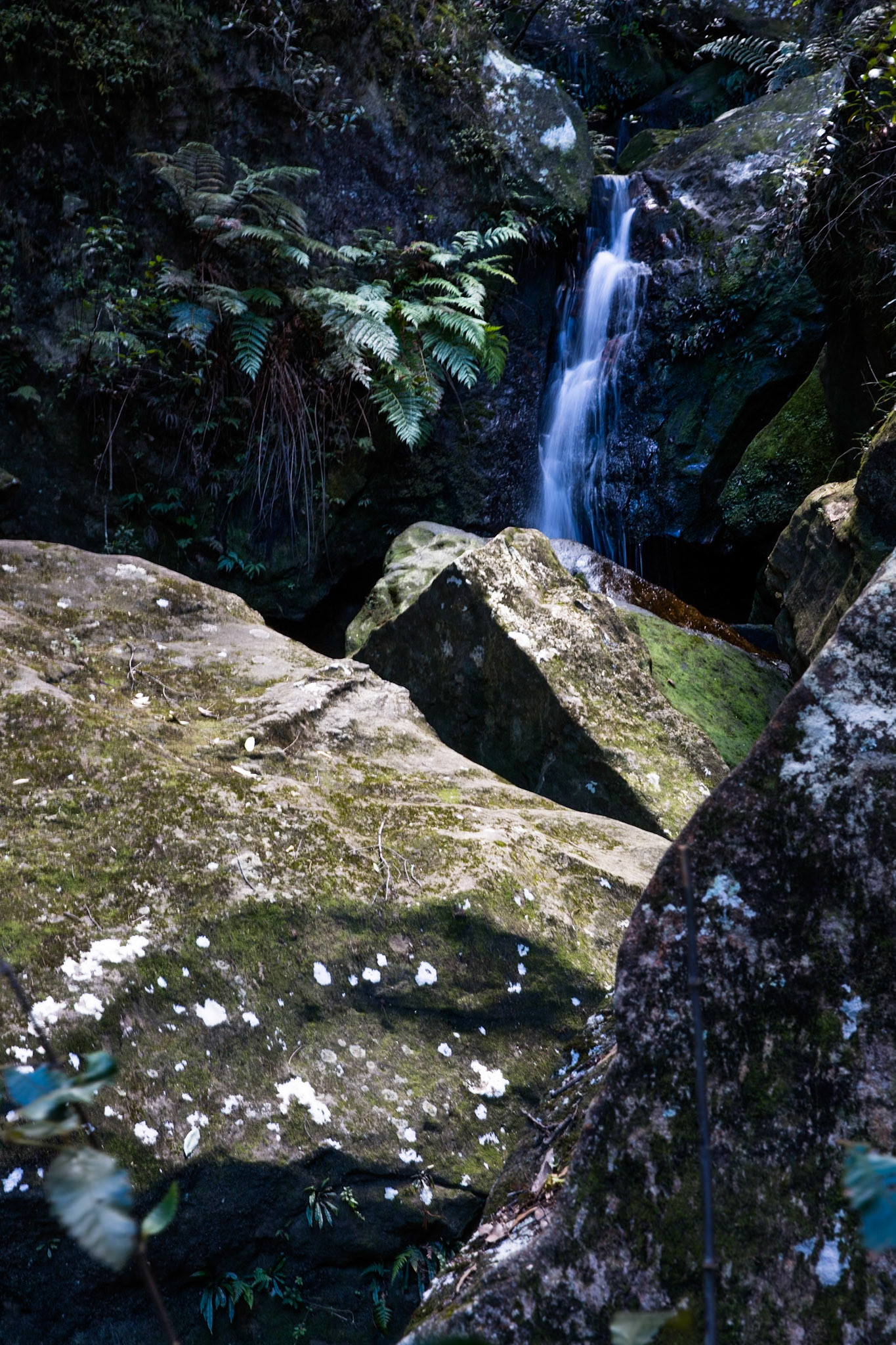 Started on the track to Golf Links lookout. Walked past the Pool of Siloam to Gordon Falls lookout. Followed the Prince Henry cliff walk to Leura Cascades from where we descended through Leura Forest to the junction with Federal Pass tea stop. Continued along Federal Pass past the junction with Dardanelles Pass (near the base of the Giant Staircase); past the base of Furber Steps to the Scenic Railway lower station (Lunch stop).  Some returned via the Scenic Railway, whilst others retraced steps and ascended the Giant Staircase to Echo Point. Notes by Peter Watt.