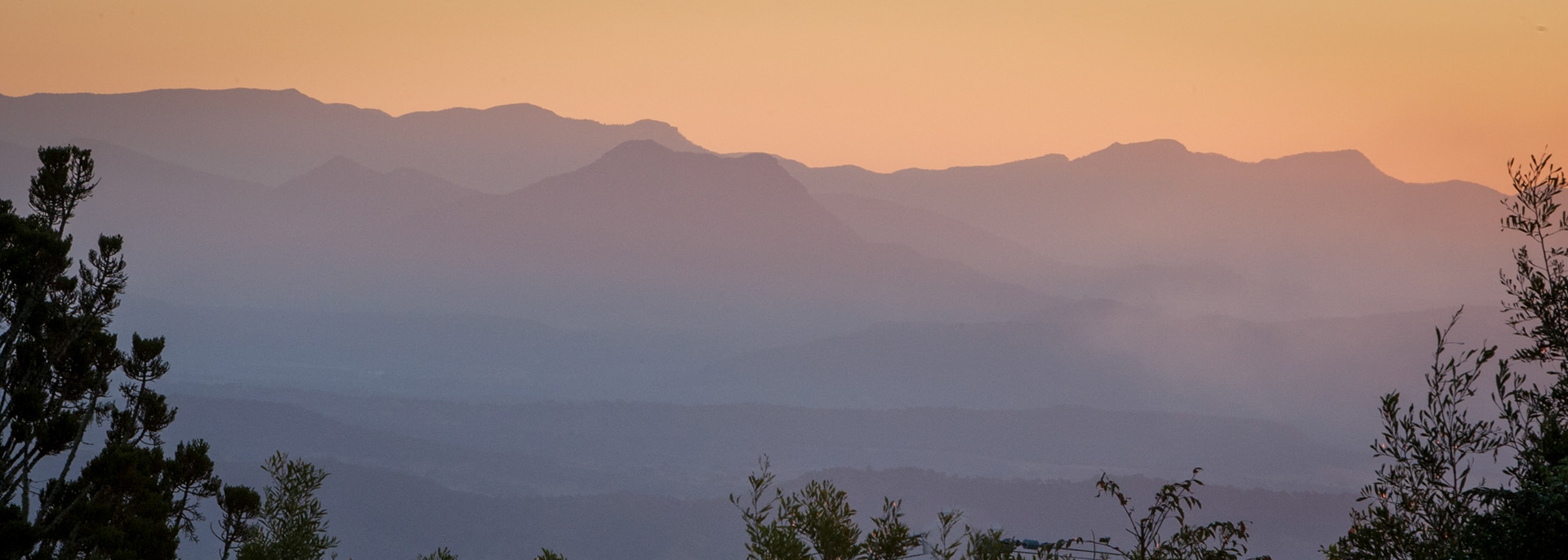 Lamington National Park, Queensland