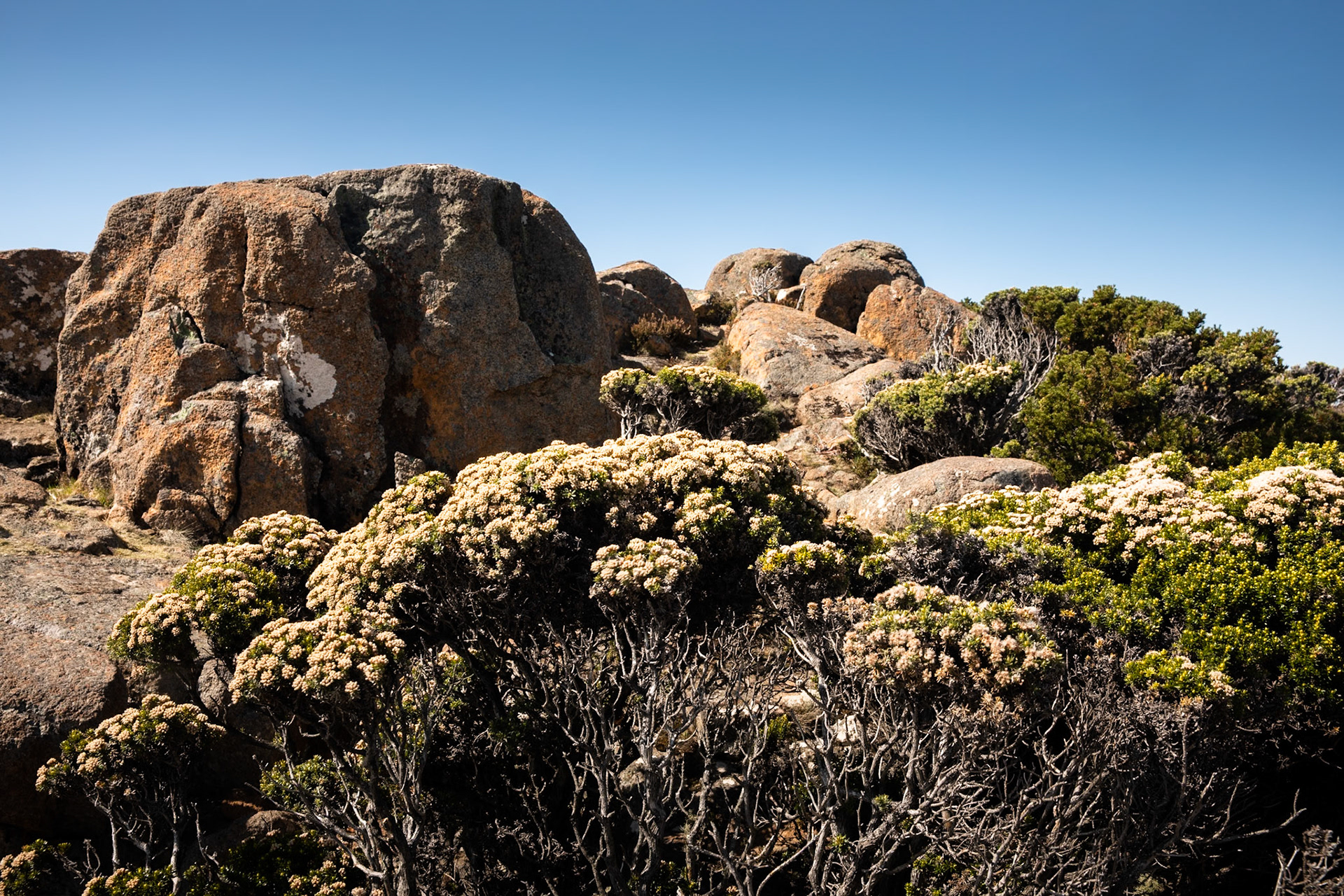 Mount Wellington, Hobart, Tasmania