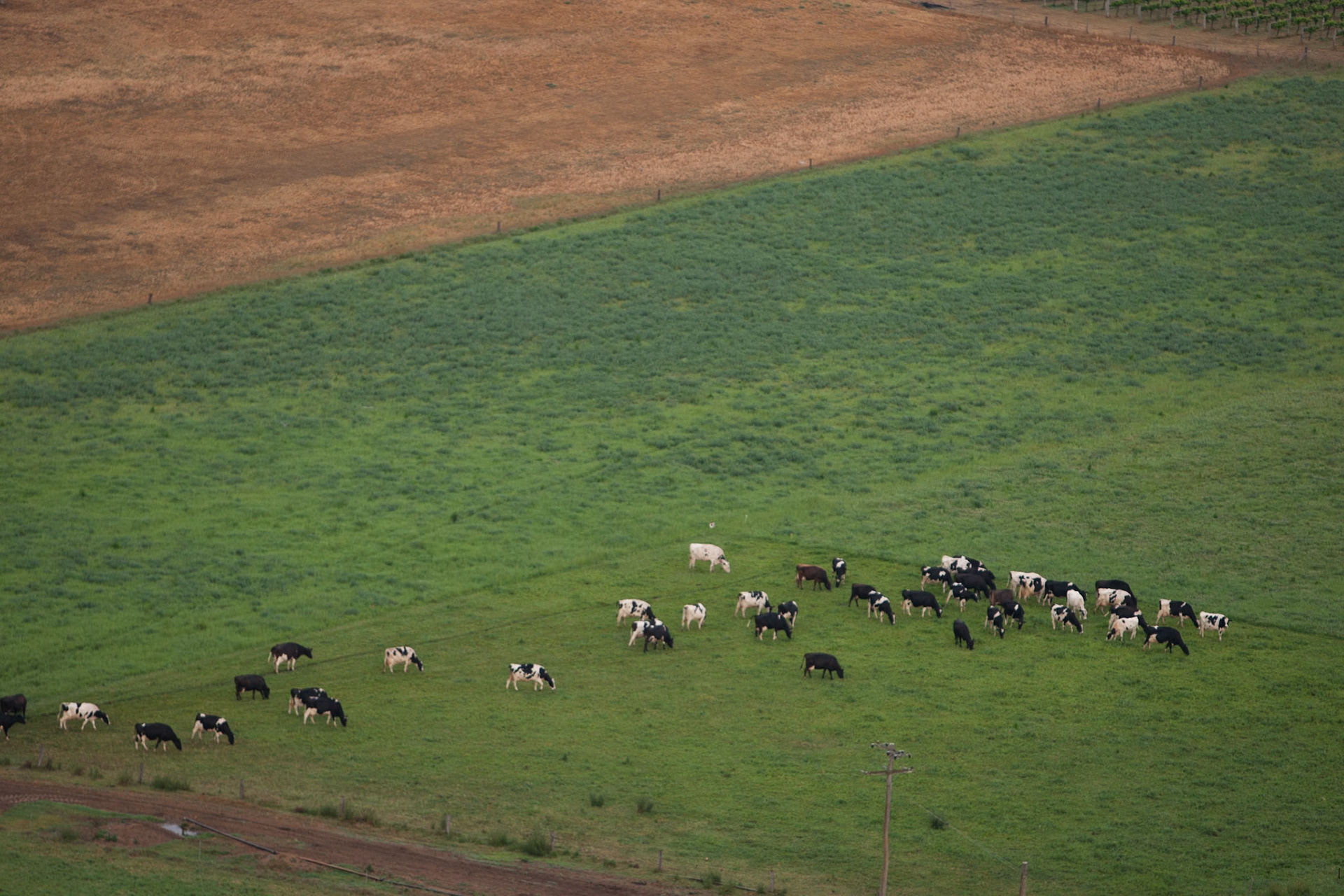 Hot air balloon ride in the Hunter Valley, New South Wales.