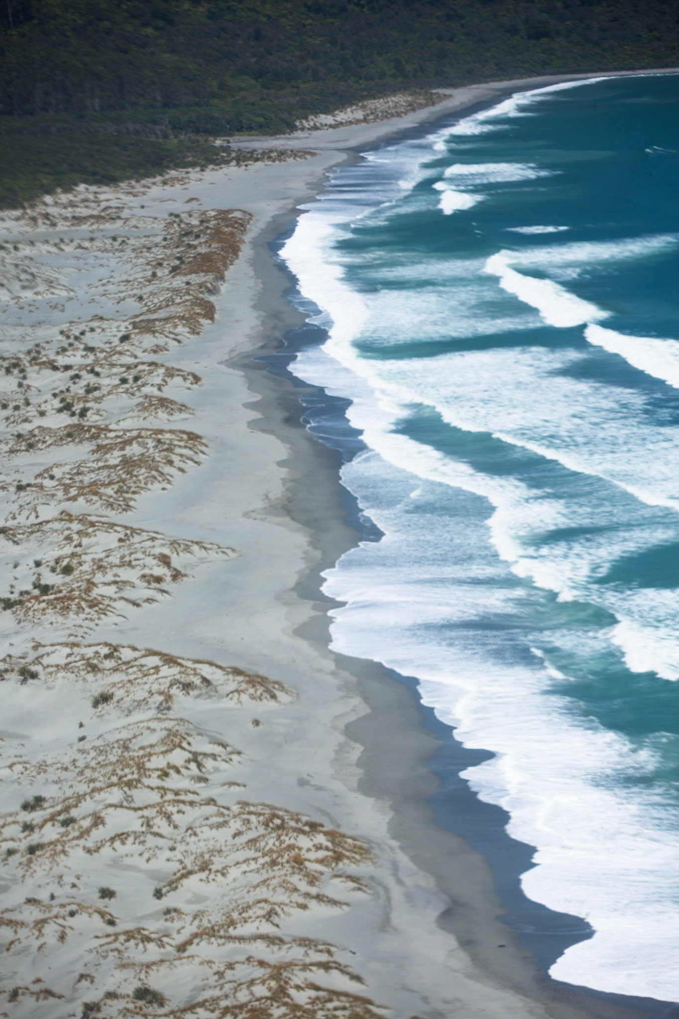 Hollyford Track, helicopter  ride from Martin's Bay to Milford Sound