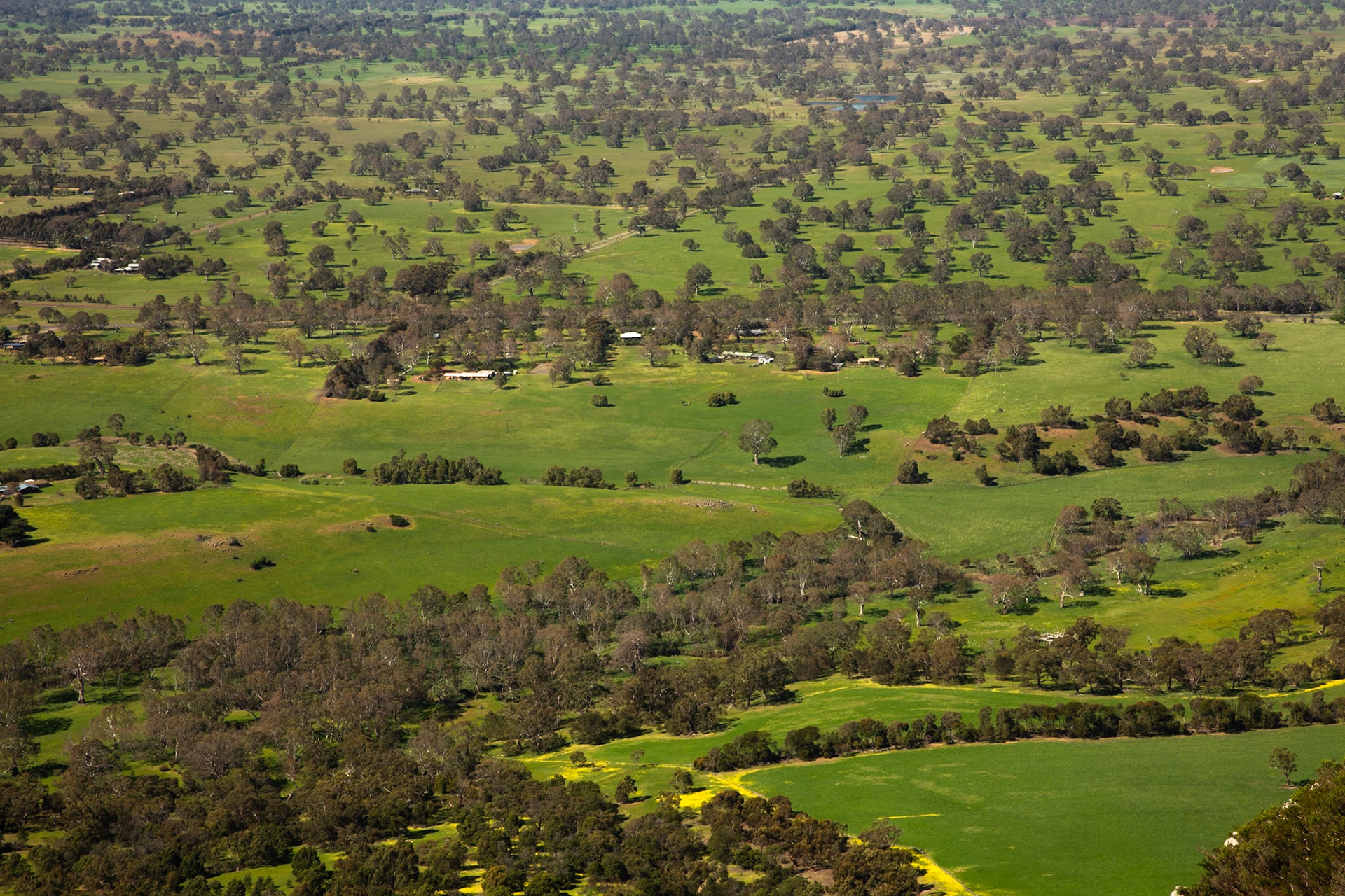 Mount Sturgeon, Dunkeld, the Grampians, Victoria