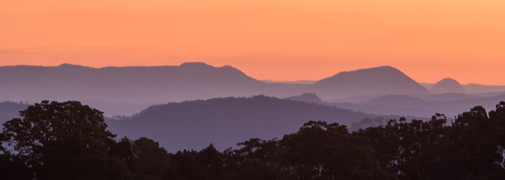 Lamington National Park, Queensland