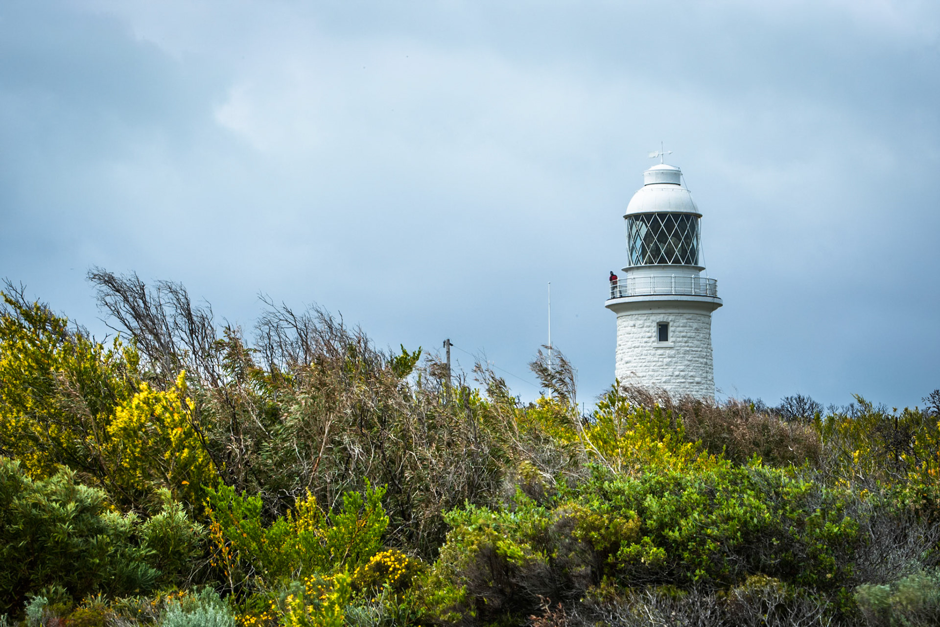 Cape Naturaliste lighthouse and fynbos- bushland scrub.