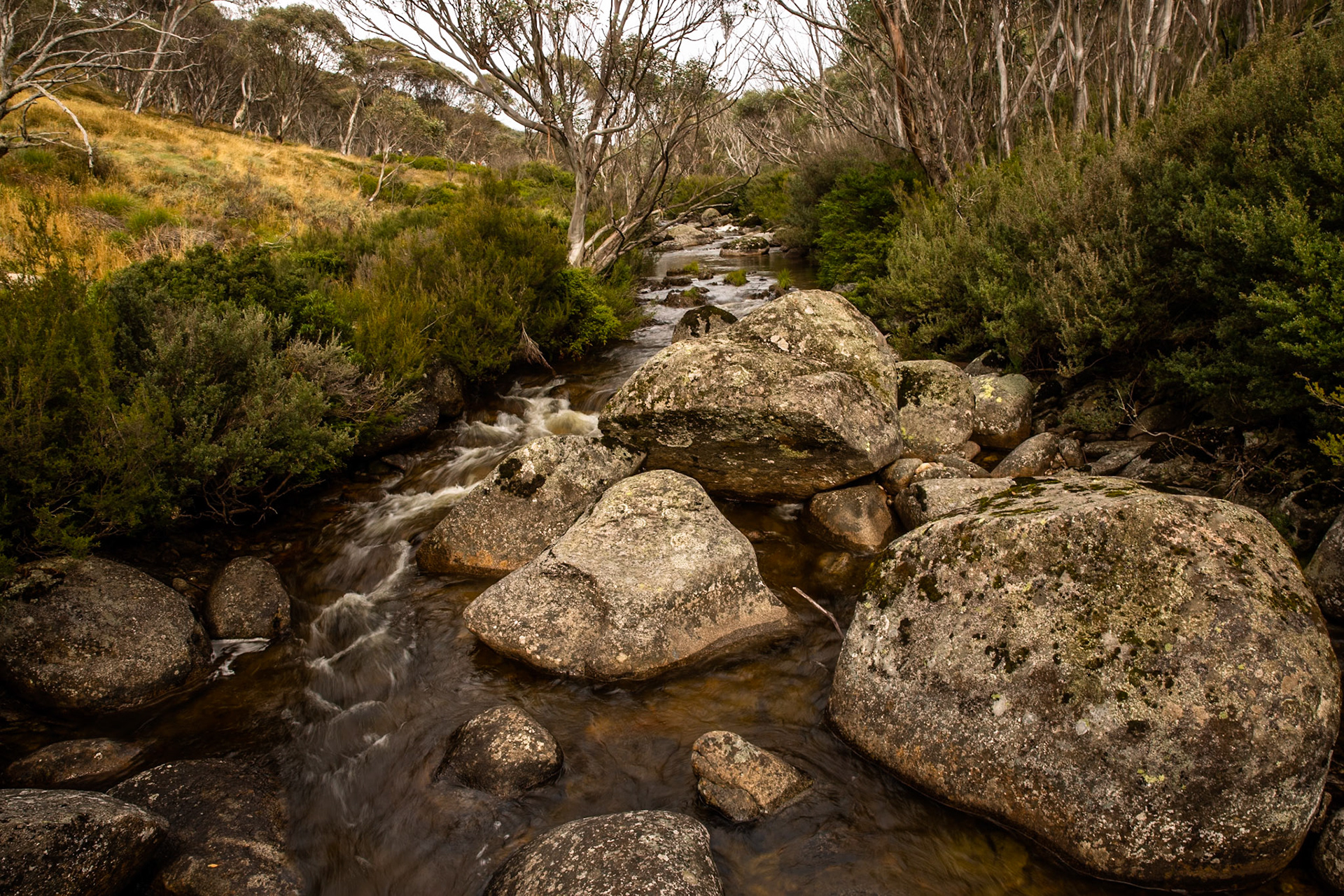 Thredbo to the cablecar and return, Mount Kosciuszko National Park, Snowy Mountains, New South Wales