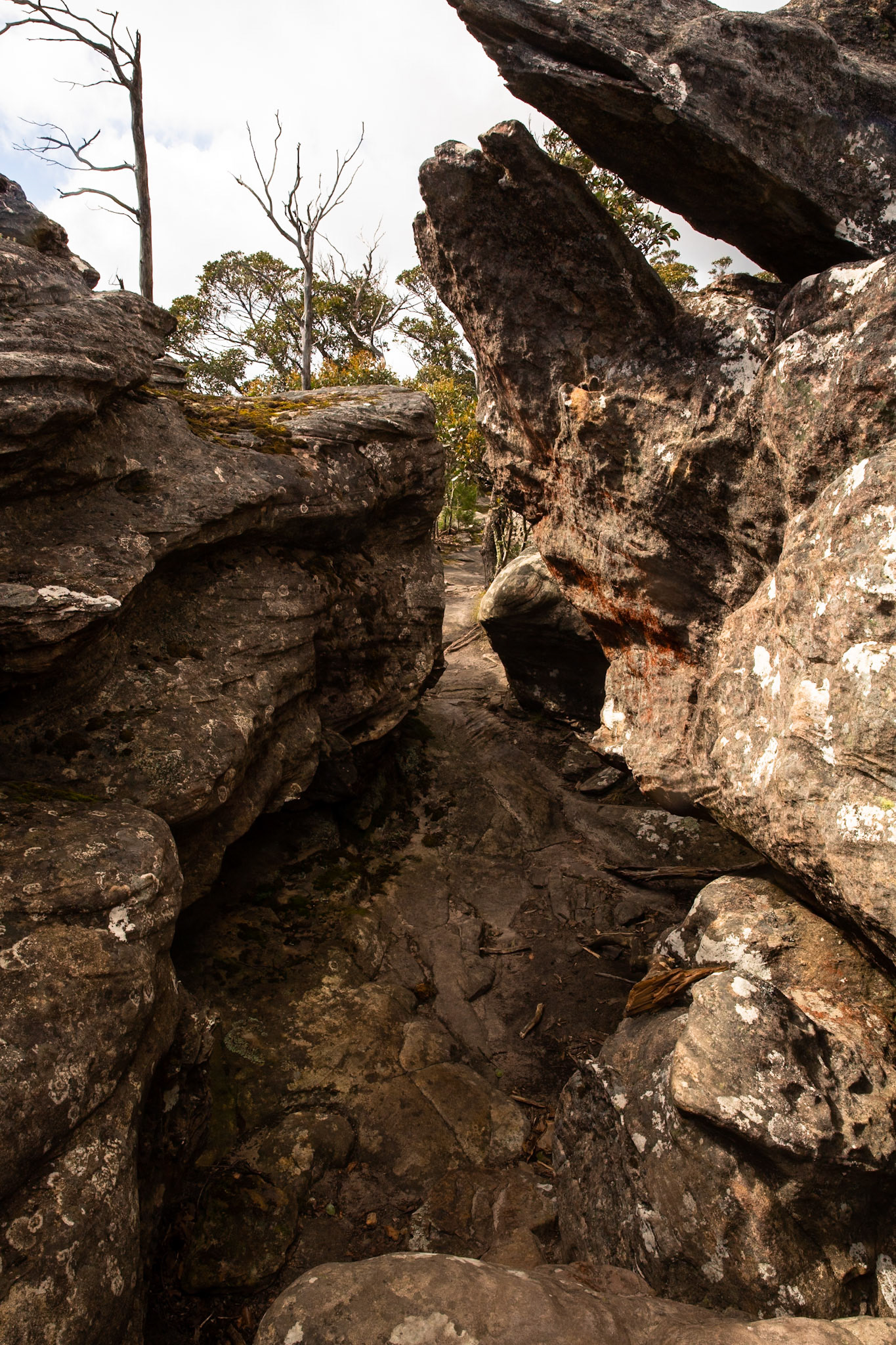 Mt Rosea circuit, Hall's Gap, The Grampians, Victoria