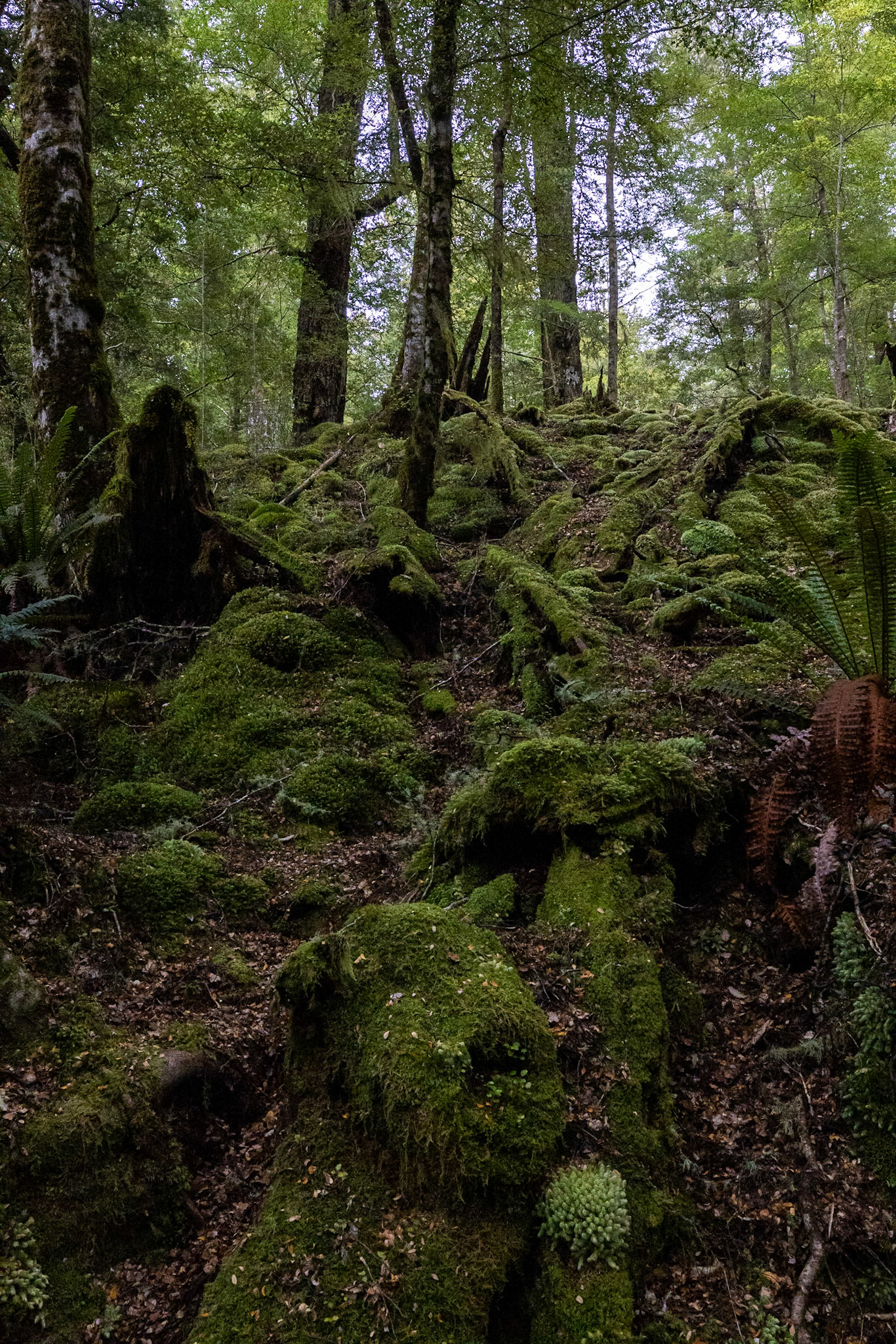 Te Anau to Queenstown, New Zealand