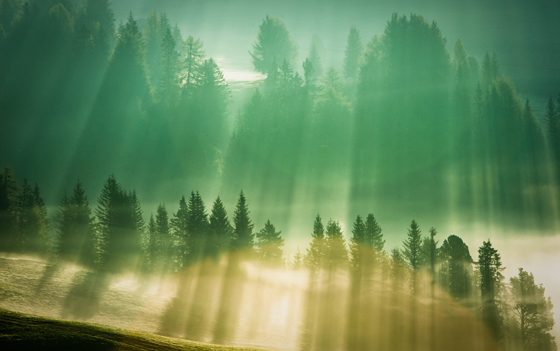 Alpe de Siusi, Dolomites, Italy