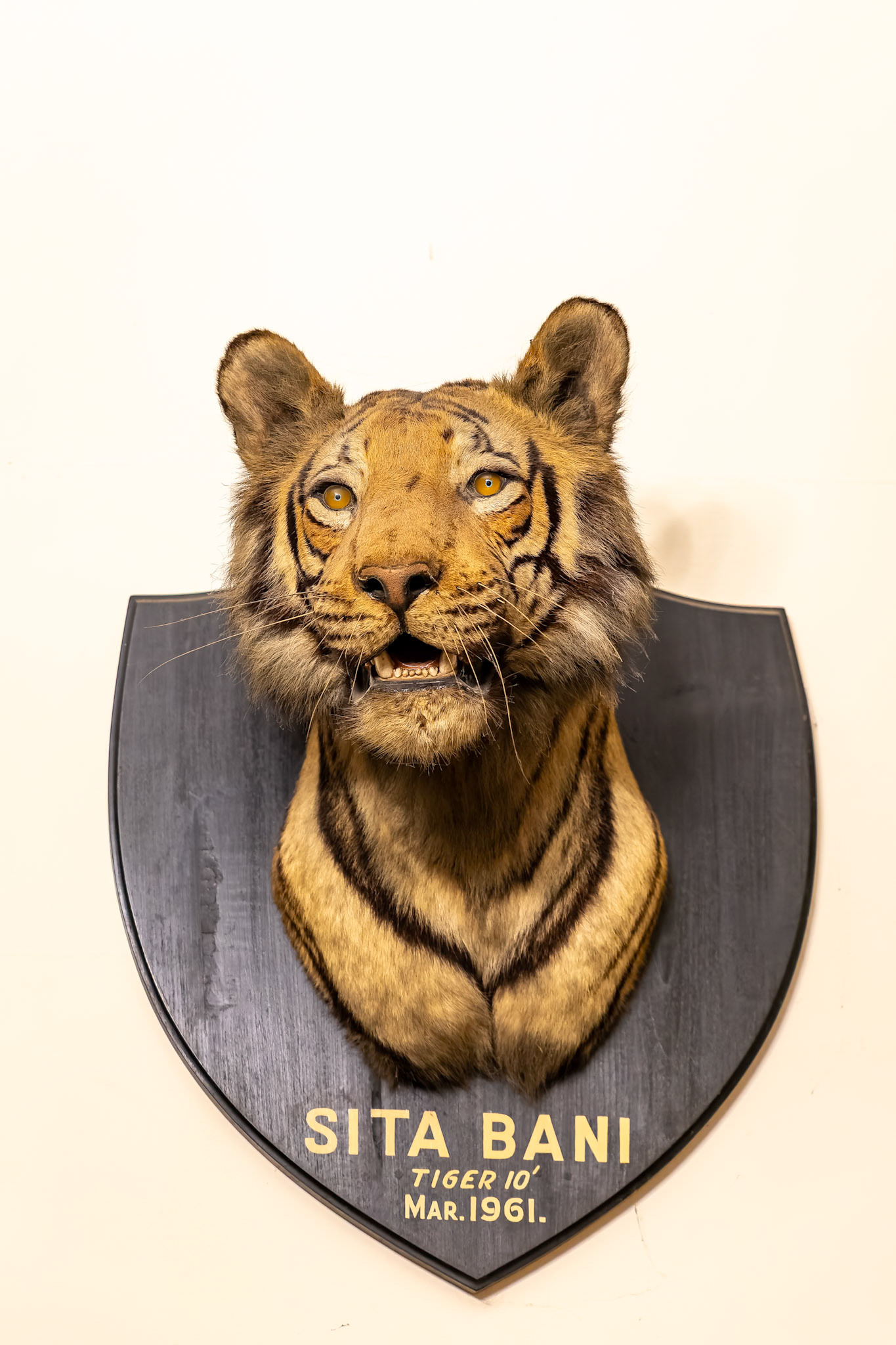 Fort Unchagaon, India