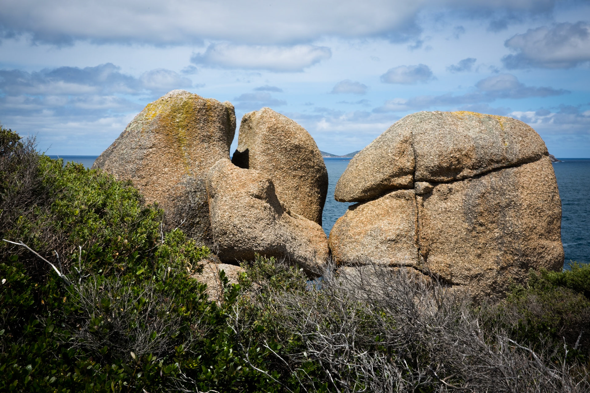 Tuesday am - Darby Saddle via Sparkes Lookout and Lookout Rocks to Tongue Point; and then on to Darby River for lunch.Tuesday pm - Lilly Pilly Gully carpark up to Tidal Overlook and on to Pillar Point then via Squeaky Beach and Picnic Beach to Picnic Beach carpark.
