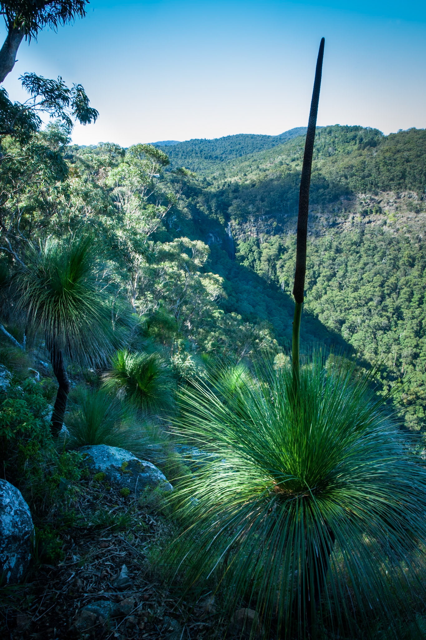 Lamington National Park, Queensland