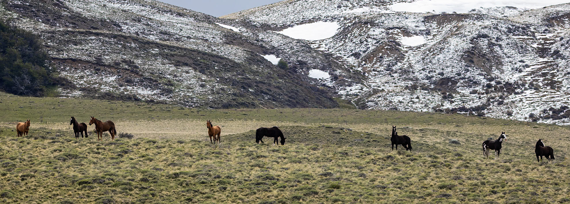 Eolo, El Calefate, Patagonia, Argentina