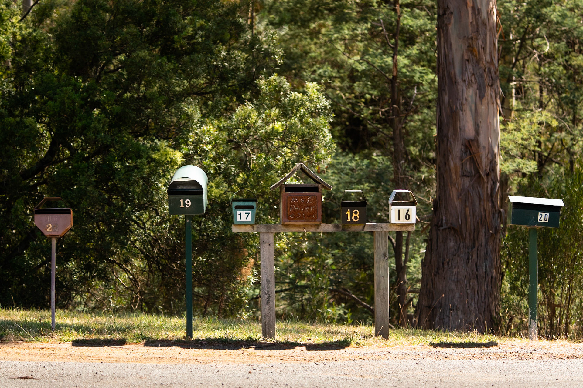 Nierrinna Creek Reserve, Hobart, Tasmania