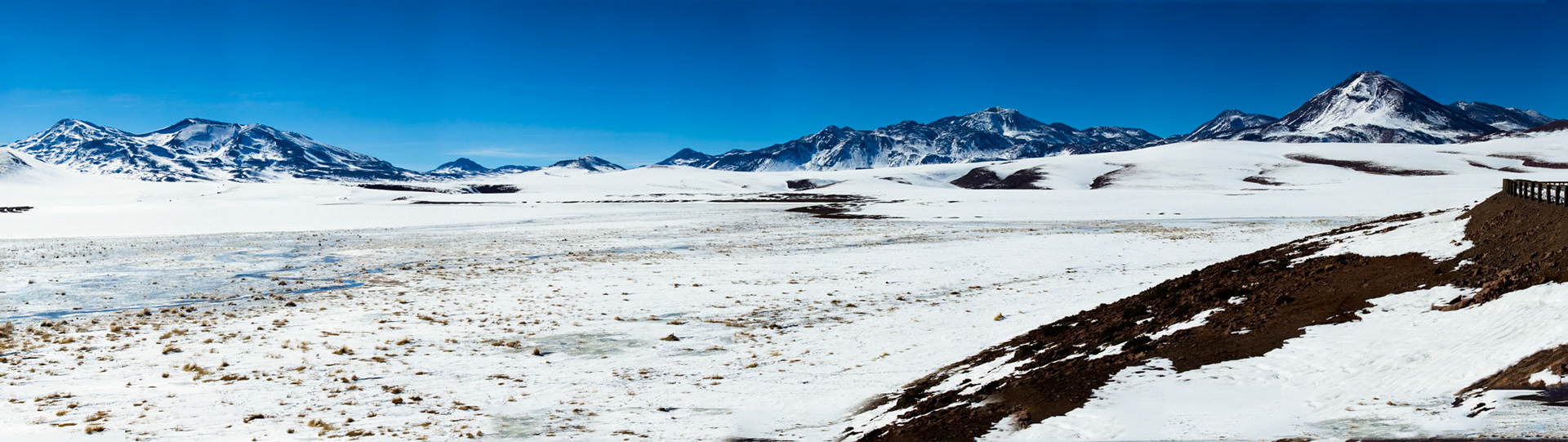 Altiplano wetlands, Atacama, Chile
