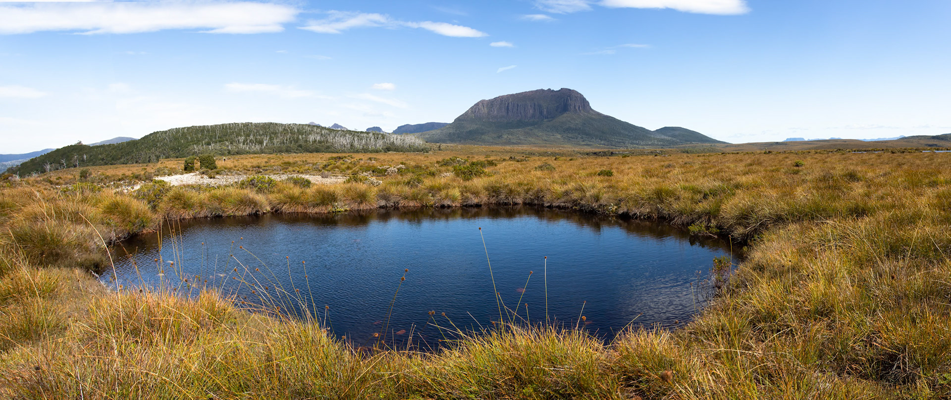 Barn Bluff to Pine Forest Moor, The Overland Track, Cradle Mountain- Lake St Clair National Park, Tasmania.