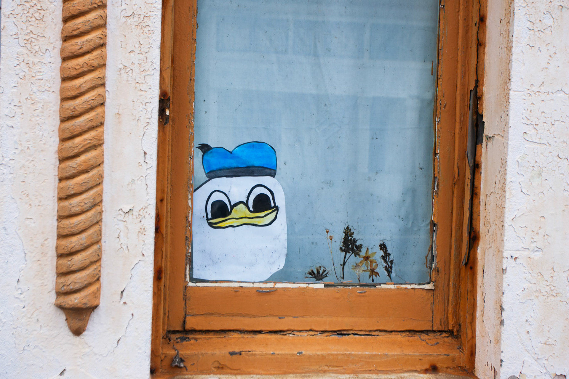 House and shop fronts, Scott street, Newcastle