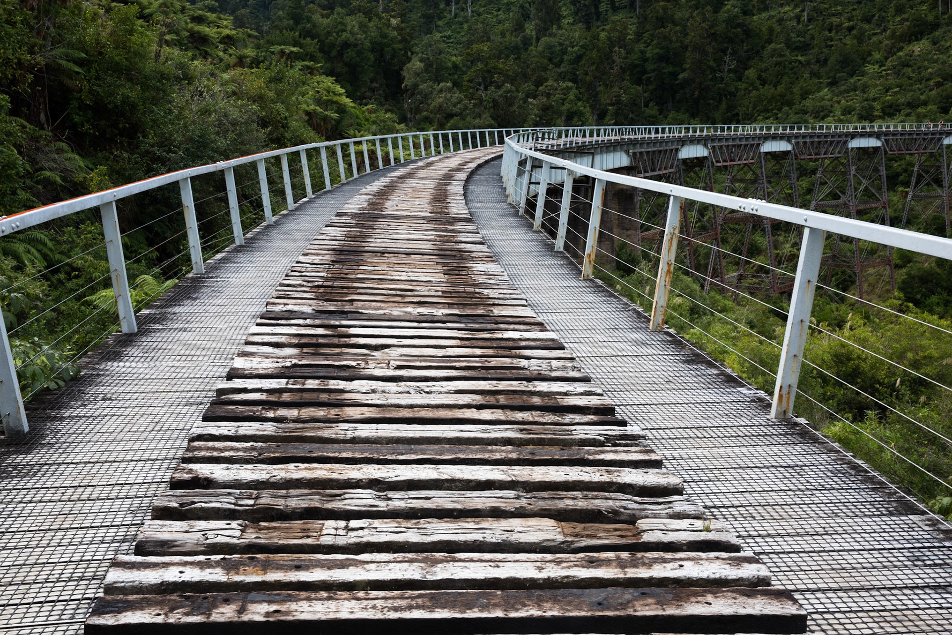 Old Coach Road, Tongariro, New Zealand