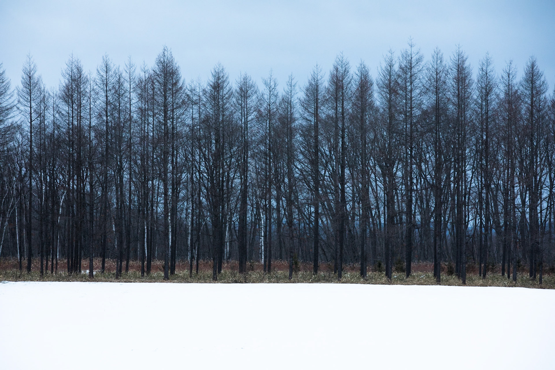 Near Tsuri village, Hokkaido, Japan