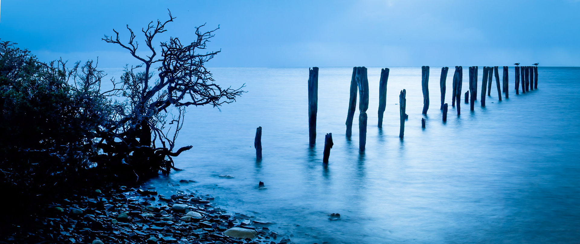 Old pier, Reeves Point, Kangaroo Island at dawn