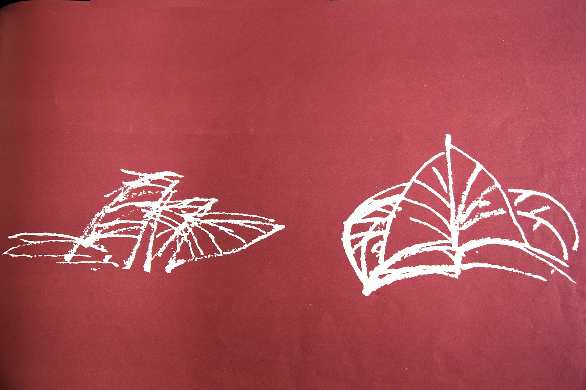 Utzon's scetch for the Sydney Opera House, State Library of New South Wales, Macquarie street, Sydney