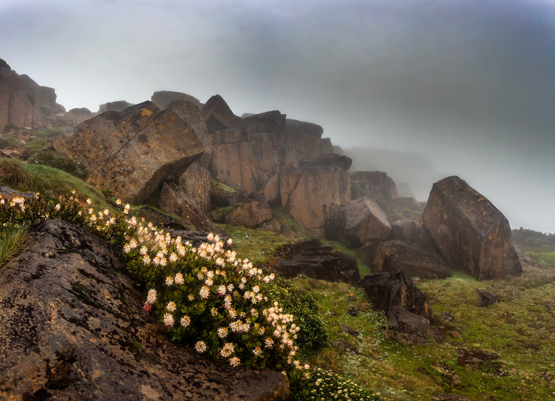 Pelion to Kia Ora, The Overland Track, Cradle Mountain- Lake St Clair National Park, Tasmania.