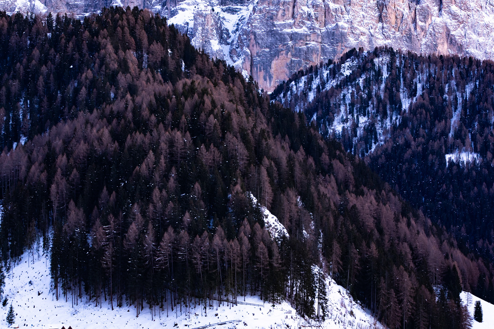 La Selva di val Gardena, Dolomites, Italy