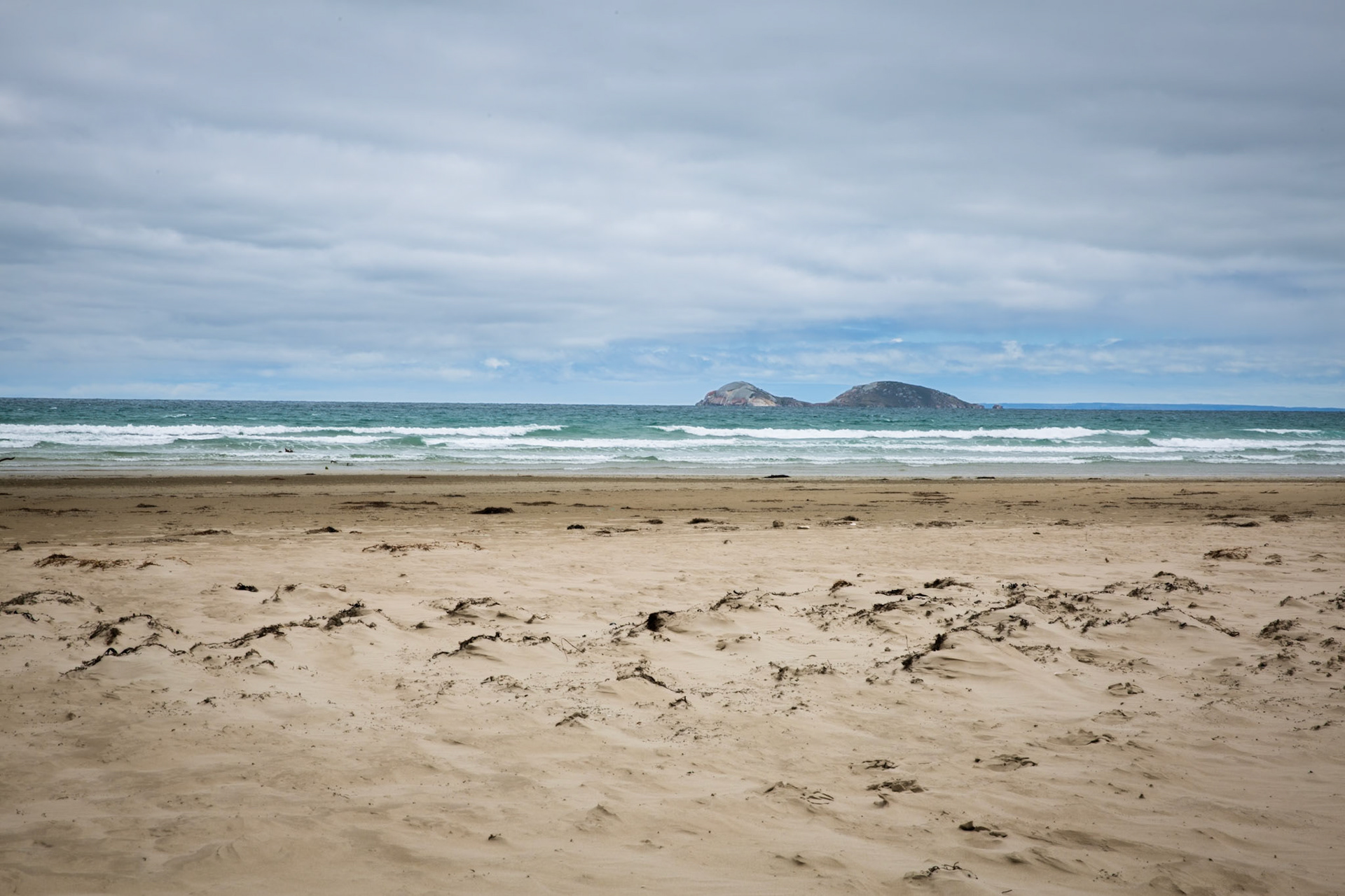 Circuit from Telegraph Saddle via Telegraph Junction to Oberon Bay (lunch), then Little Oberon Bay, Norman Point  and Norman Beach to Tidal River.
