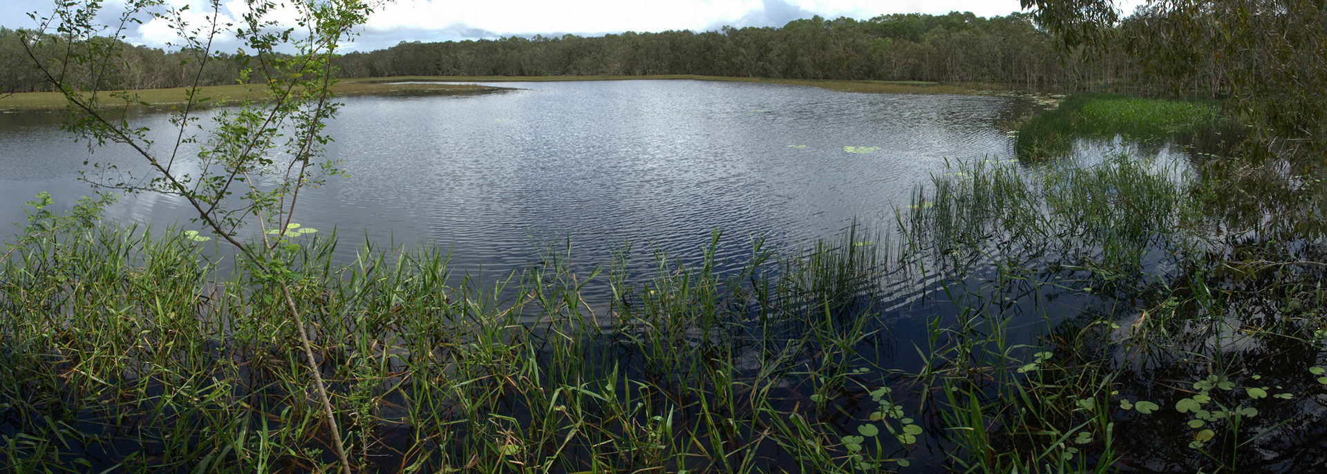Wetlands, Territory Wildlife Park, Darwin, Northern Territory