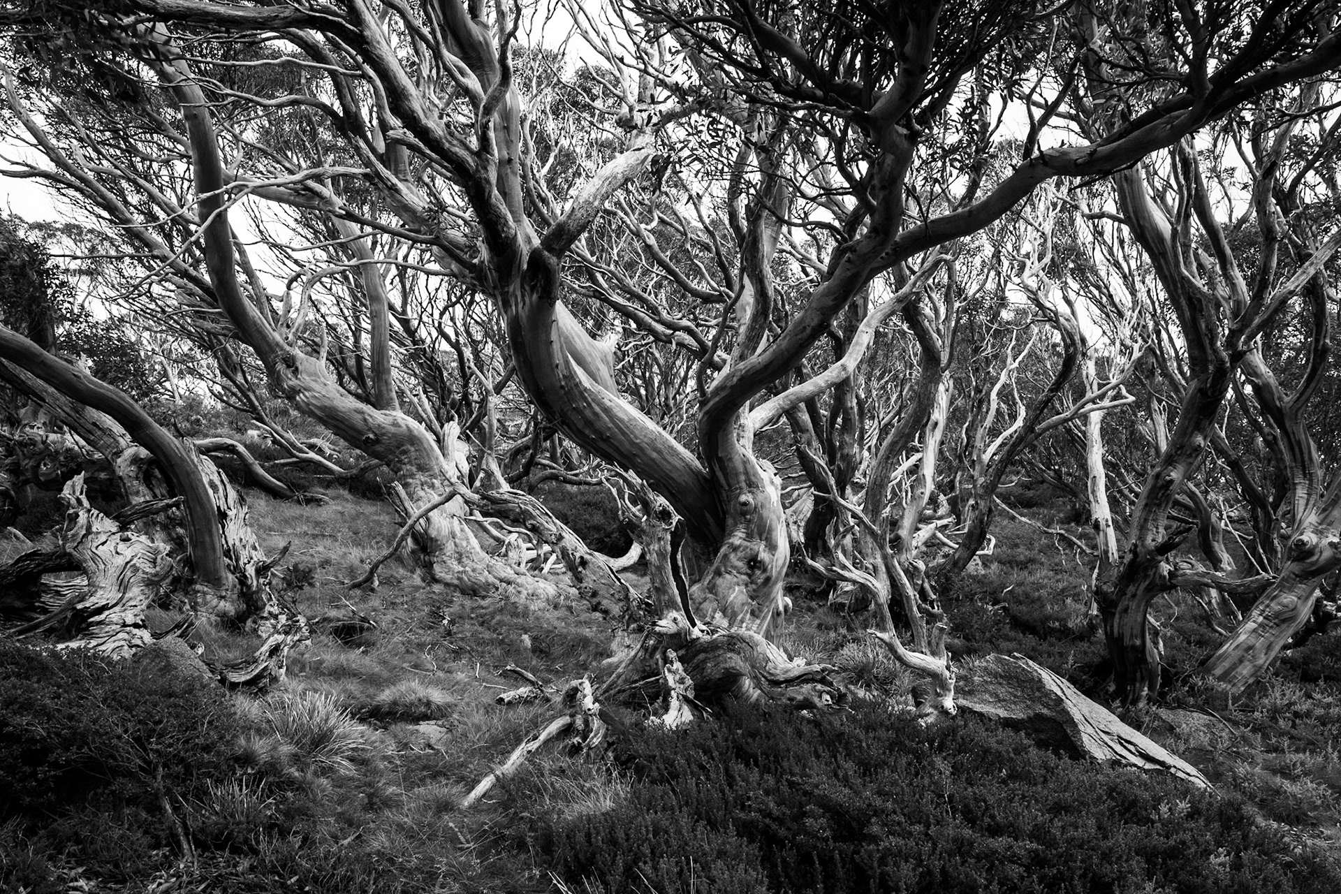 Summit walk, Mount Kosciuszko, Mount Kosciuszko National Park, Snowy Mountains, New South Wales