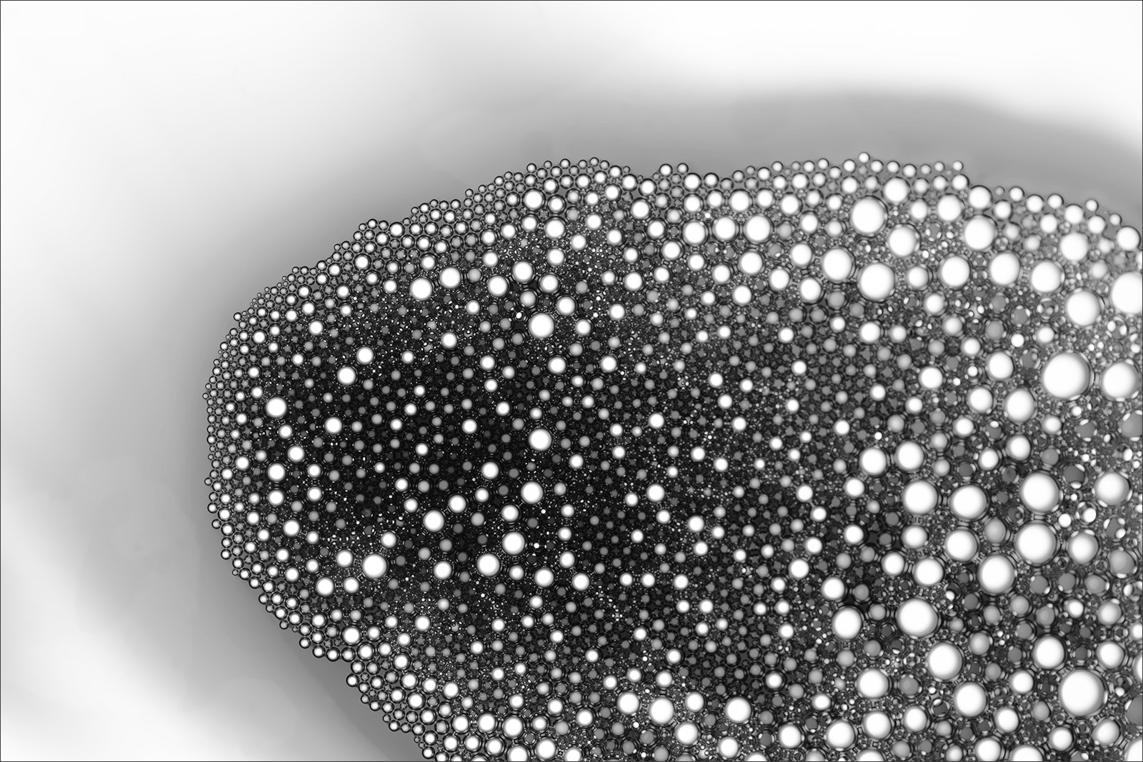 Abstract fine art macro photography by Steffen Freiling, available as limited edition prints.