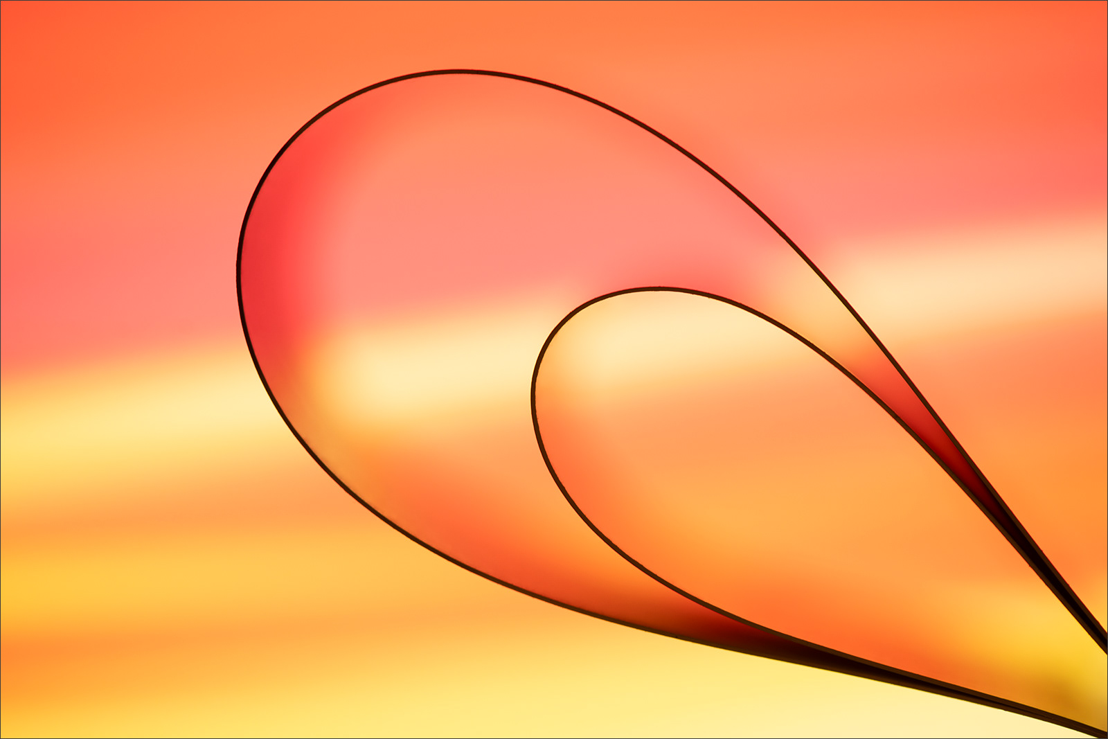 Abstract fine art macro photography by Steffen Freiling, available as limited edition prints.