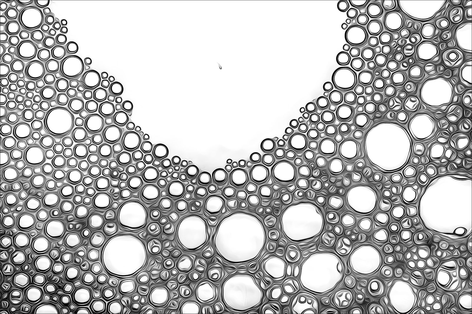 Abstract fine art macro photography by Steffen Freiling, available as limited edition prints.