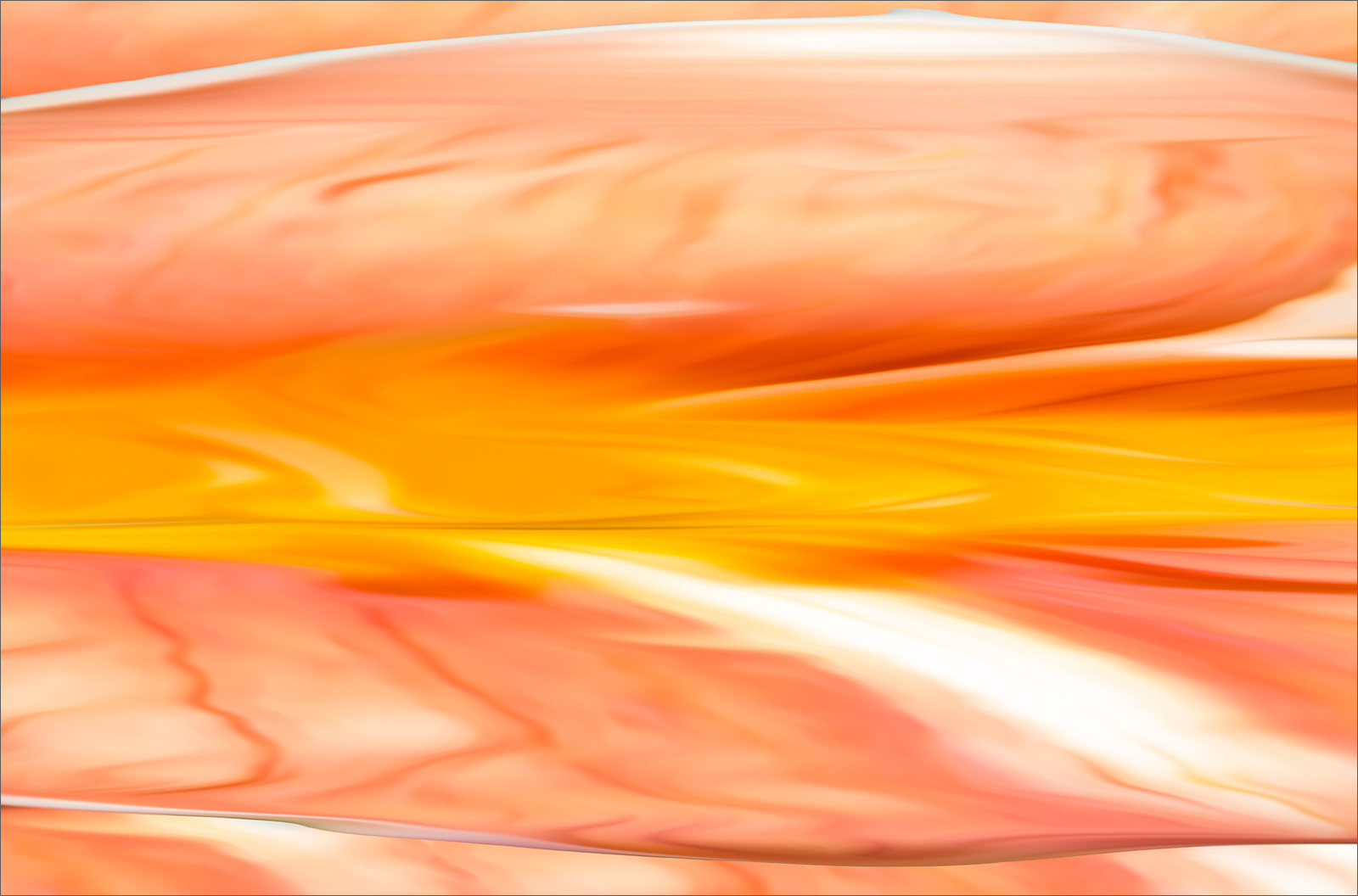 Abstract fine art macro photography by Steffen Freiling, available as limited edition prints.