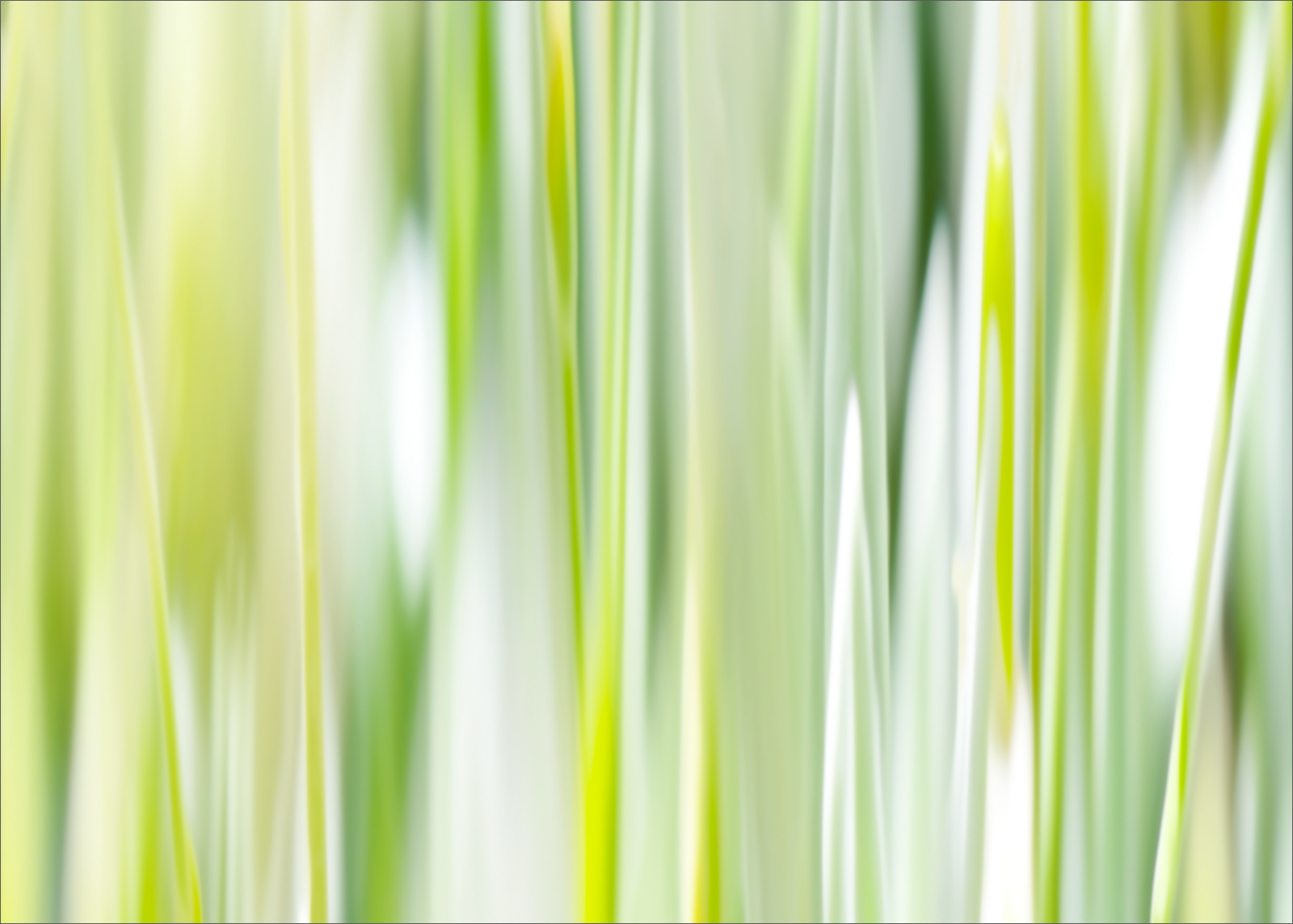 Abstract fine art macro photography by Steffen Freiling, available as limited edition prints.