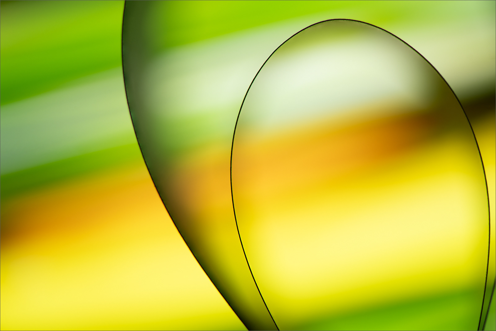 Abstract fine art macro photography by Steffen Freiling, available as limited edition prints.
