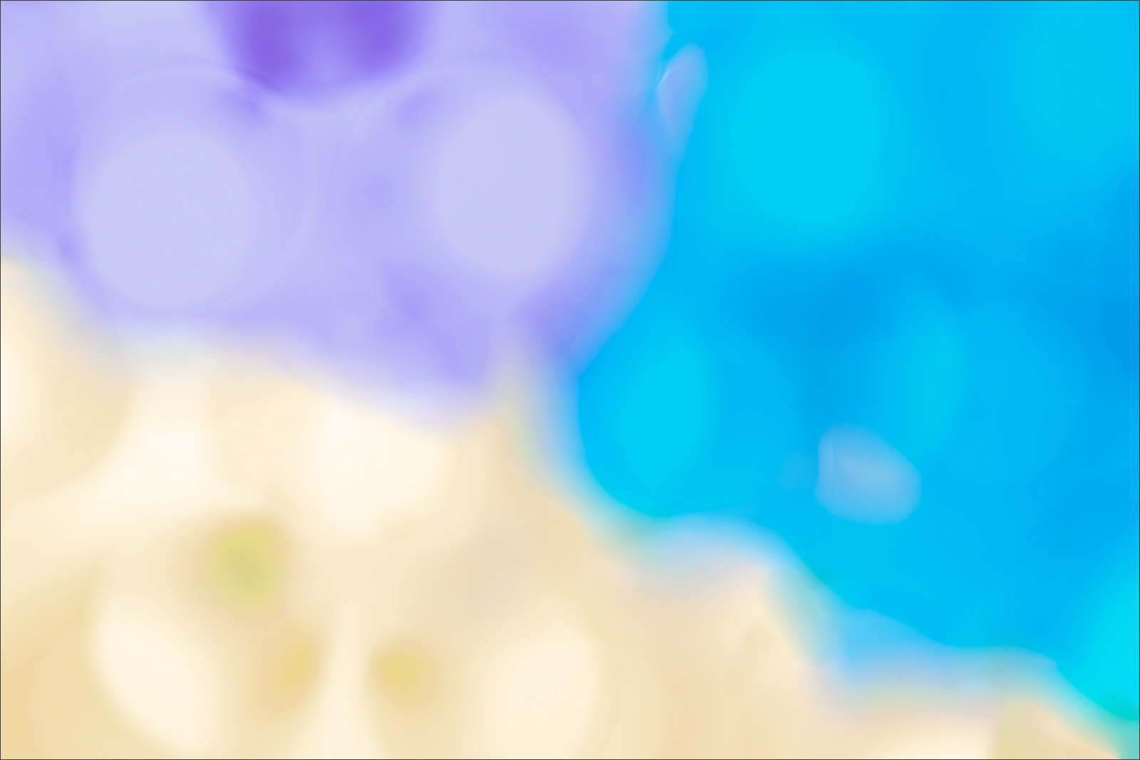 Abstract fine art macro photography by Steffen Freiling, available as limited edition prints.