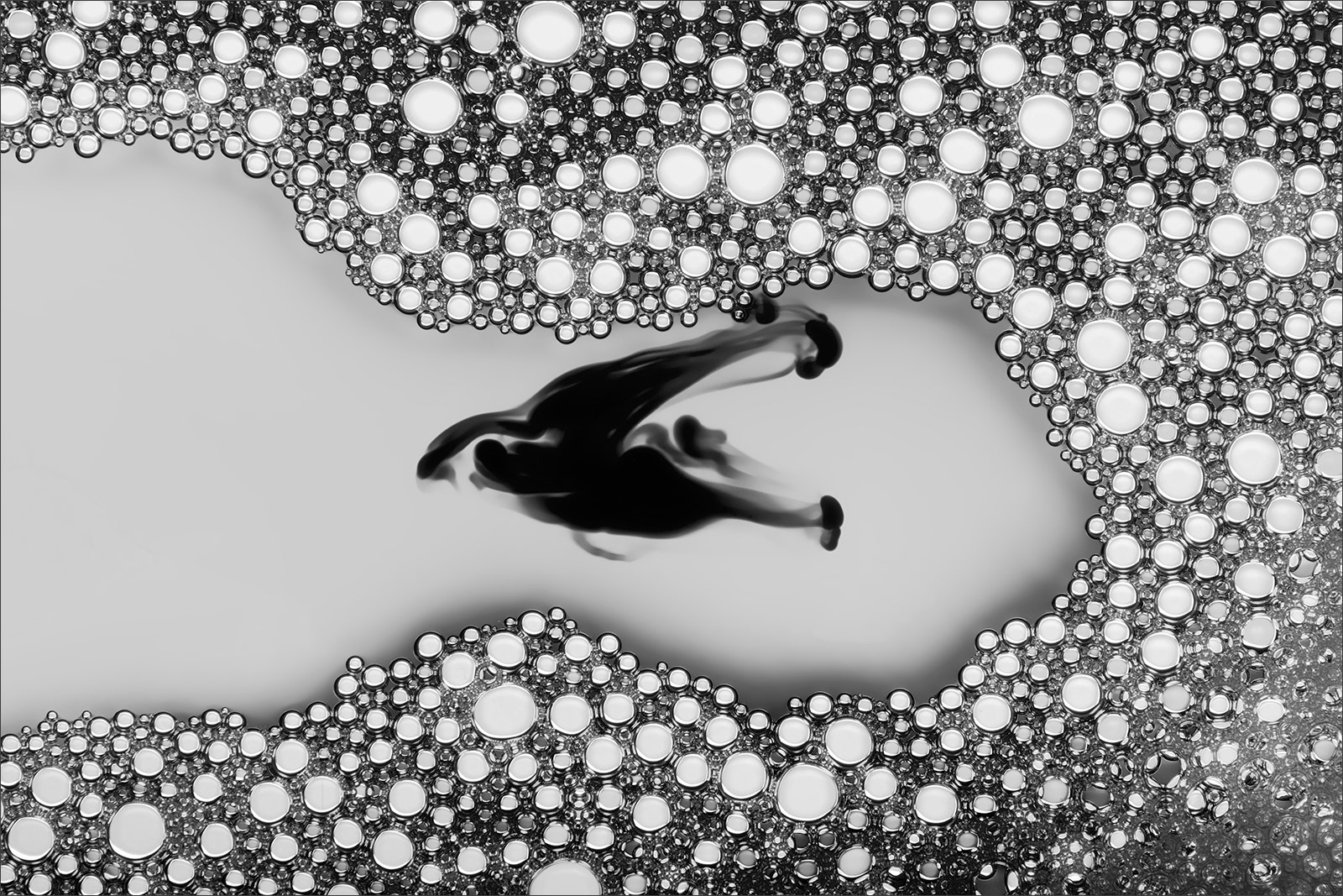 Abstract fine art macro photography by Steffen Freiling, available as limited edition prints.