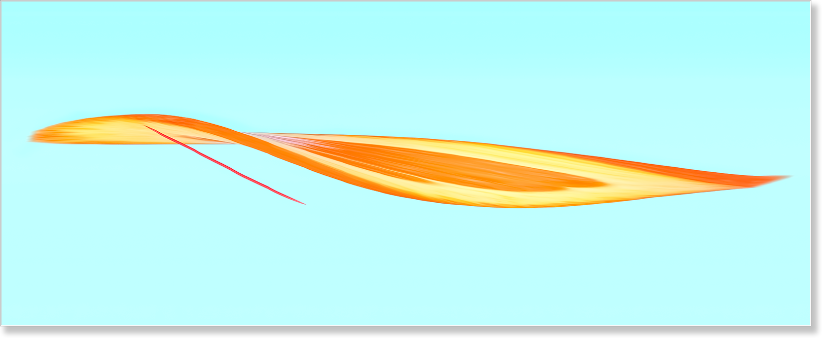 Slit scan fine art photography by Steffen Freiling, available as limited edition prints.