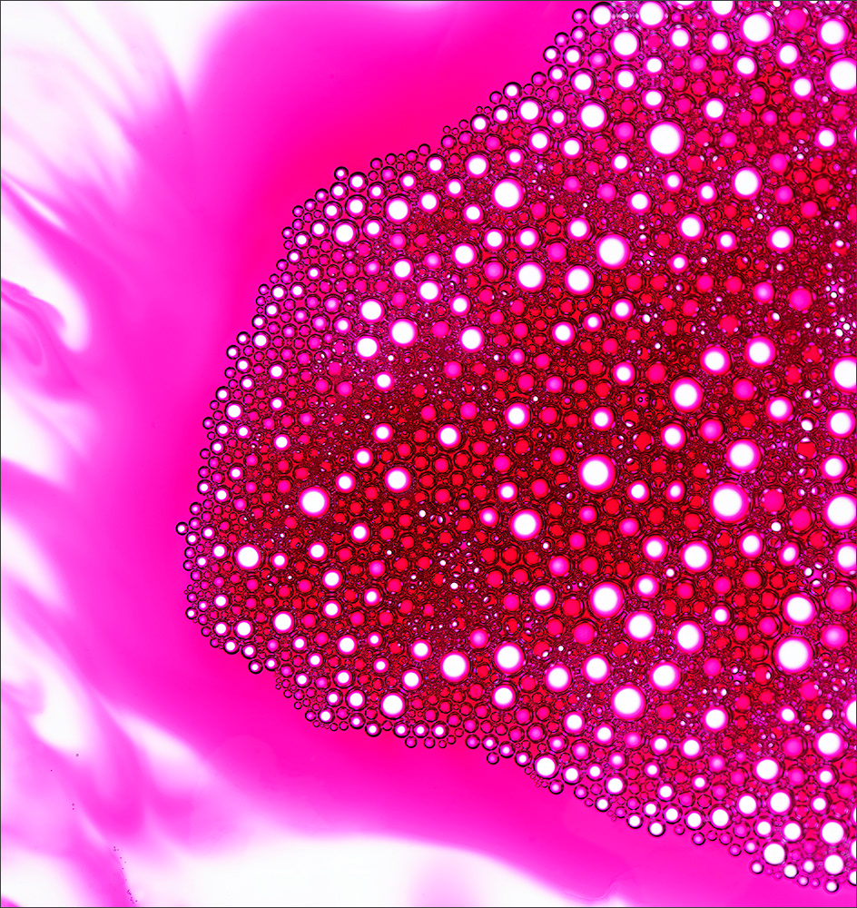 Abstract fine art macro photography by Steffen Freiling, available as limited edition prints.