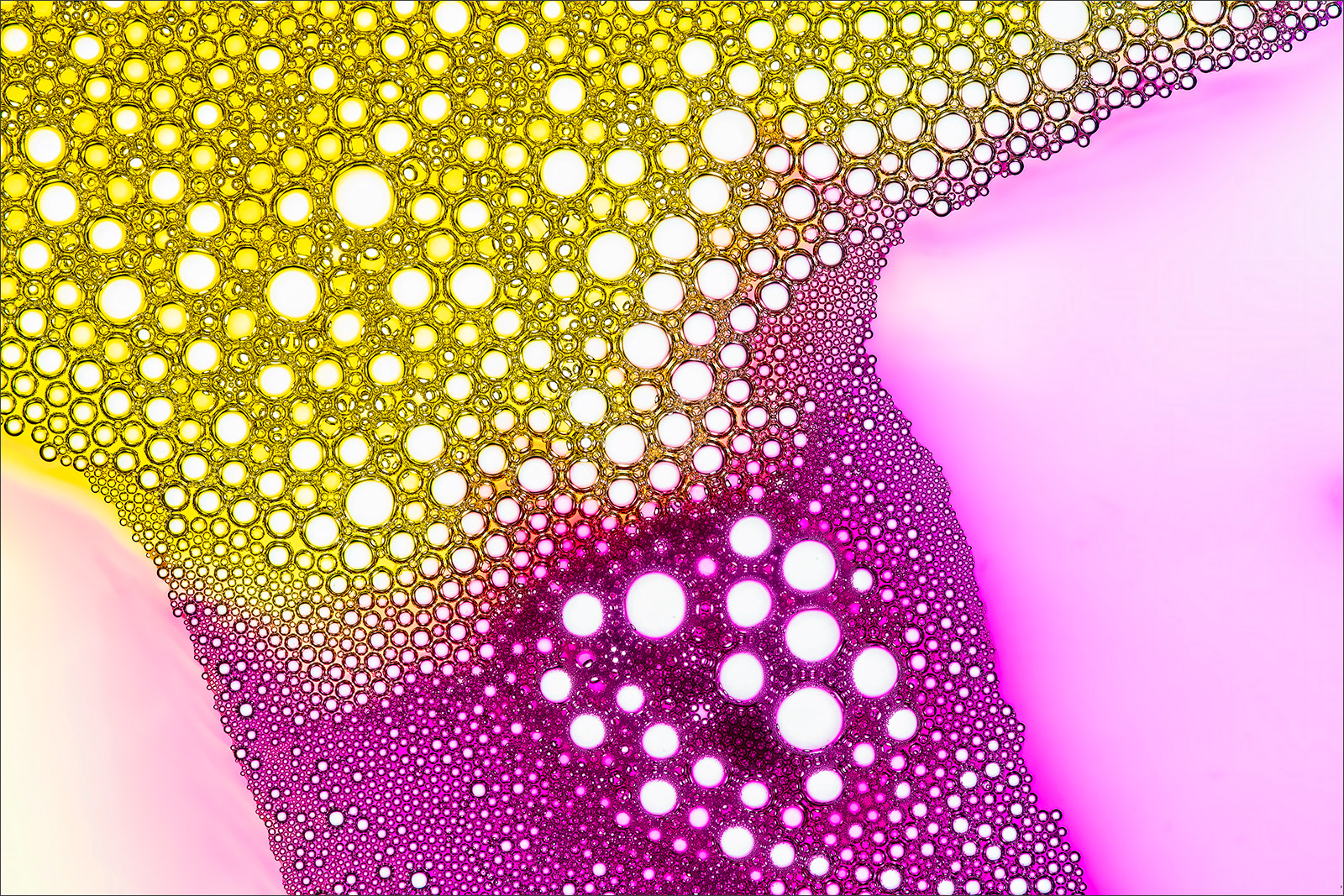 Abstract fine art macro photography by Steffen Freiling, available as limited edition prints.
