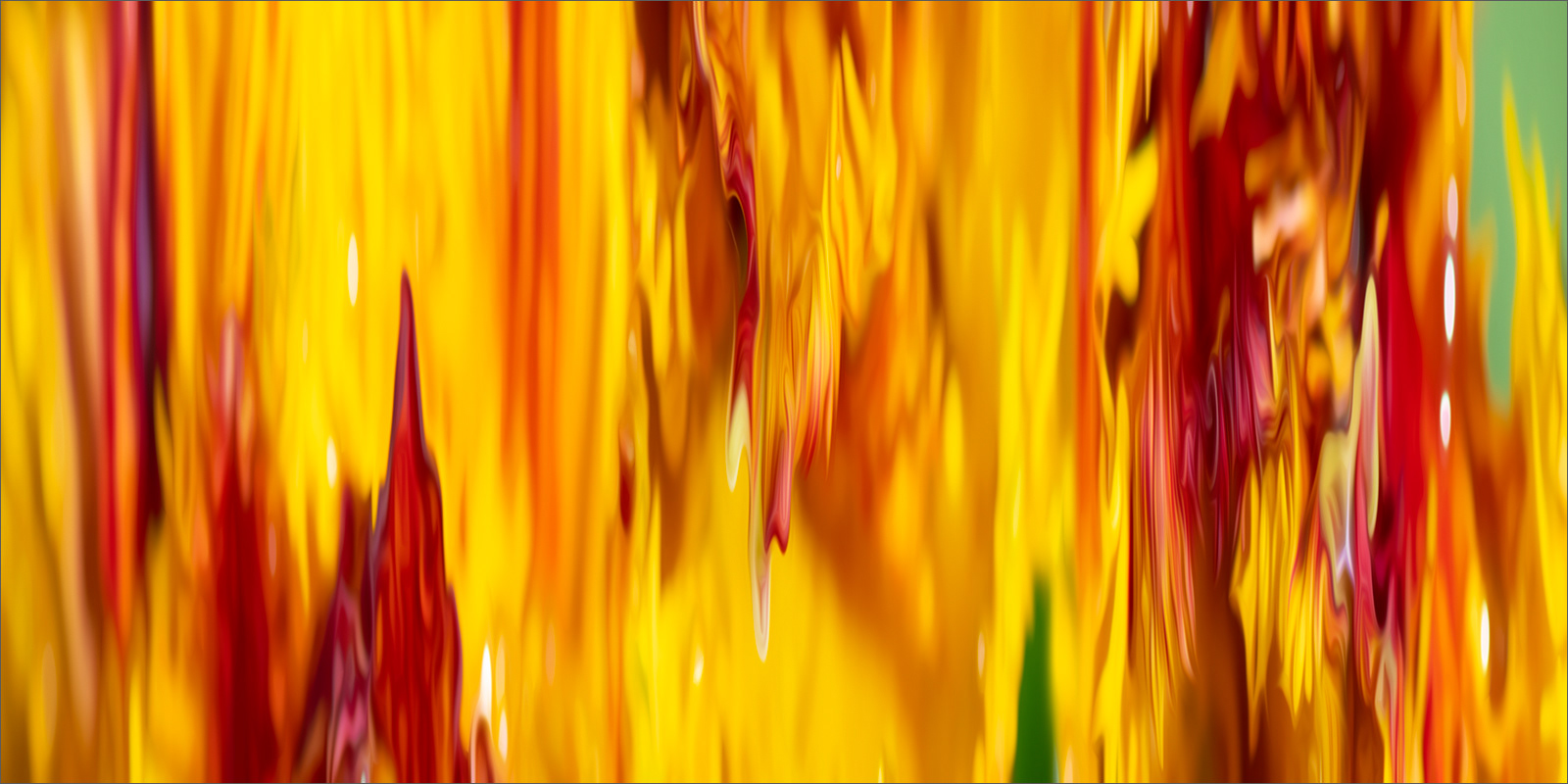 Abstract fine art macro photography by Steffen Freiling, available as limited edition prints.