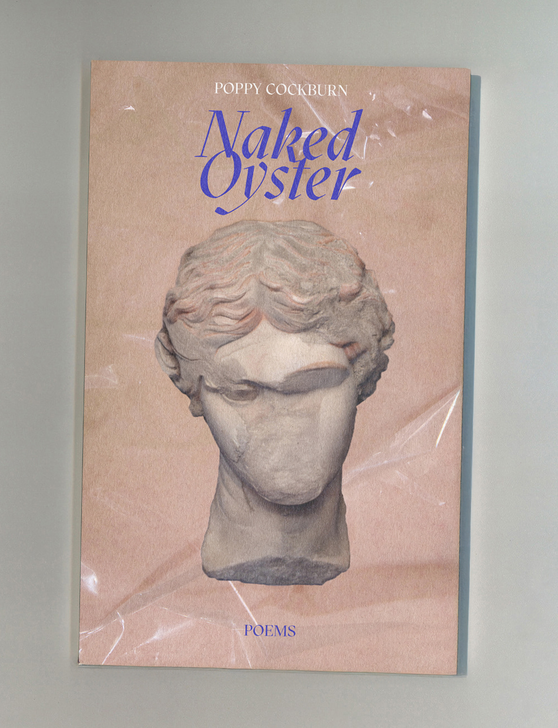 Cover design, If A Leaf Falls Press