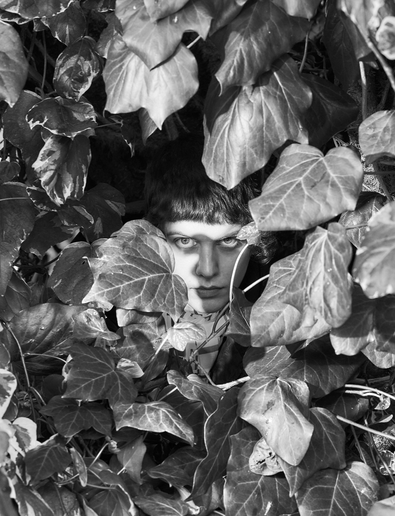 TANK Magazine with Sohrab Golsorkhi-Ainslie